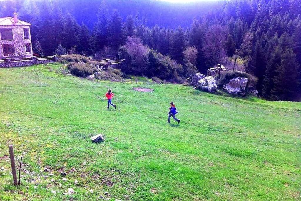 Photo 48