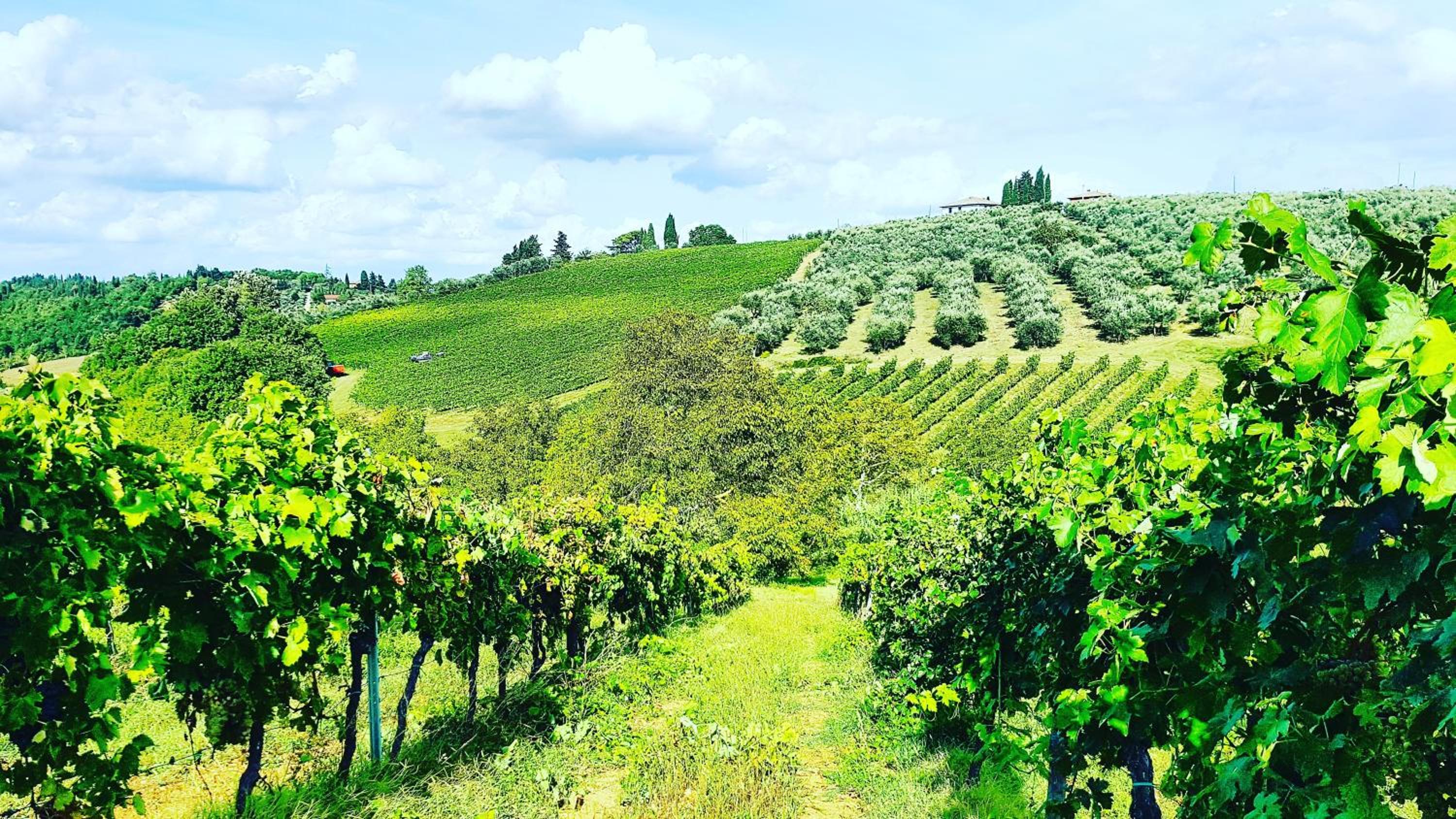Agriturismo Sant'Ellero