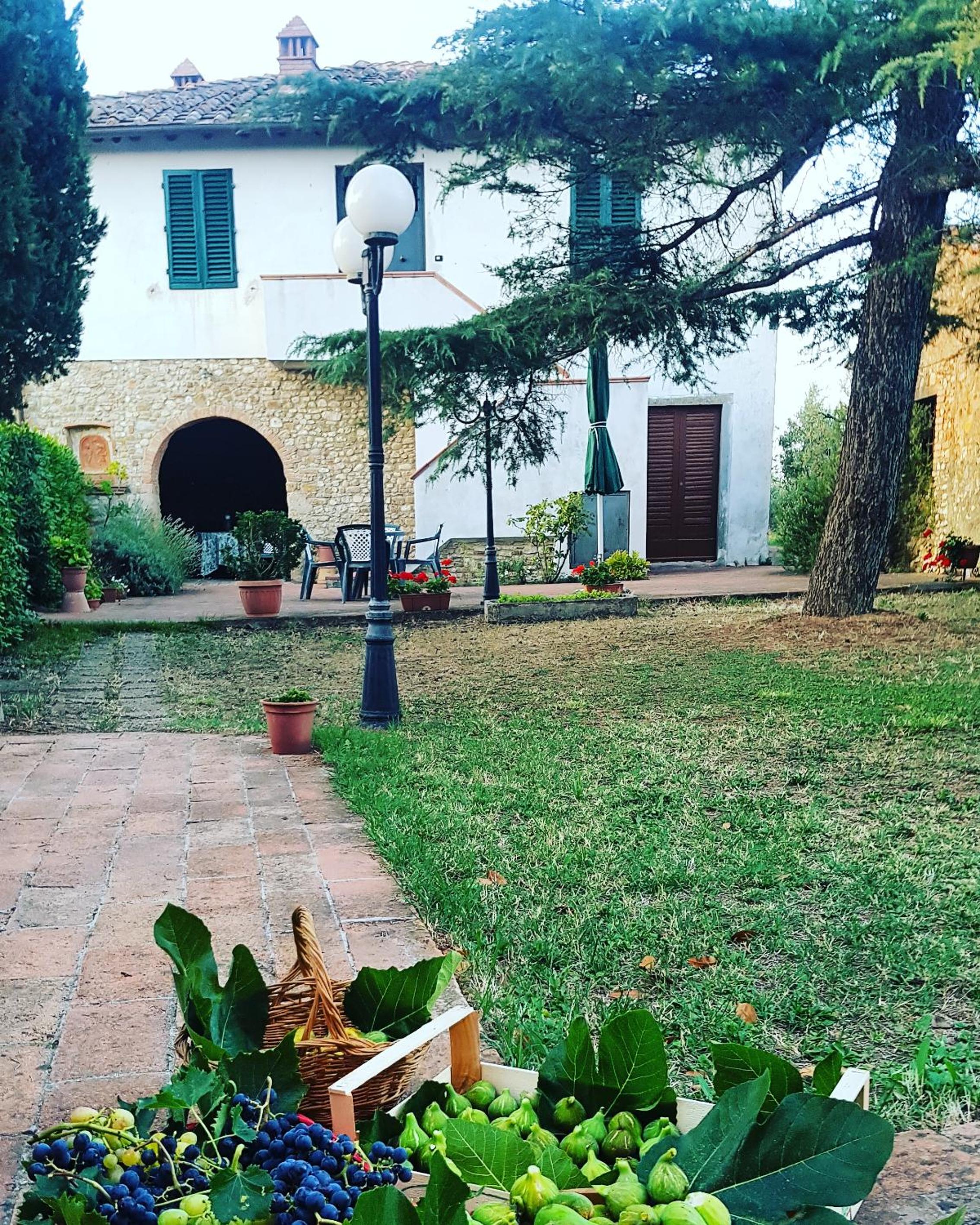 Agriturismo Sant'Ellero