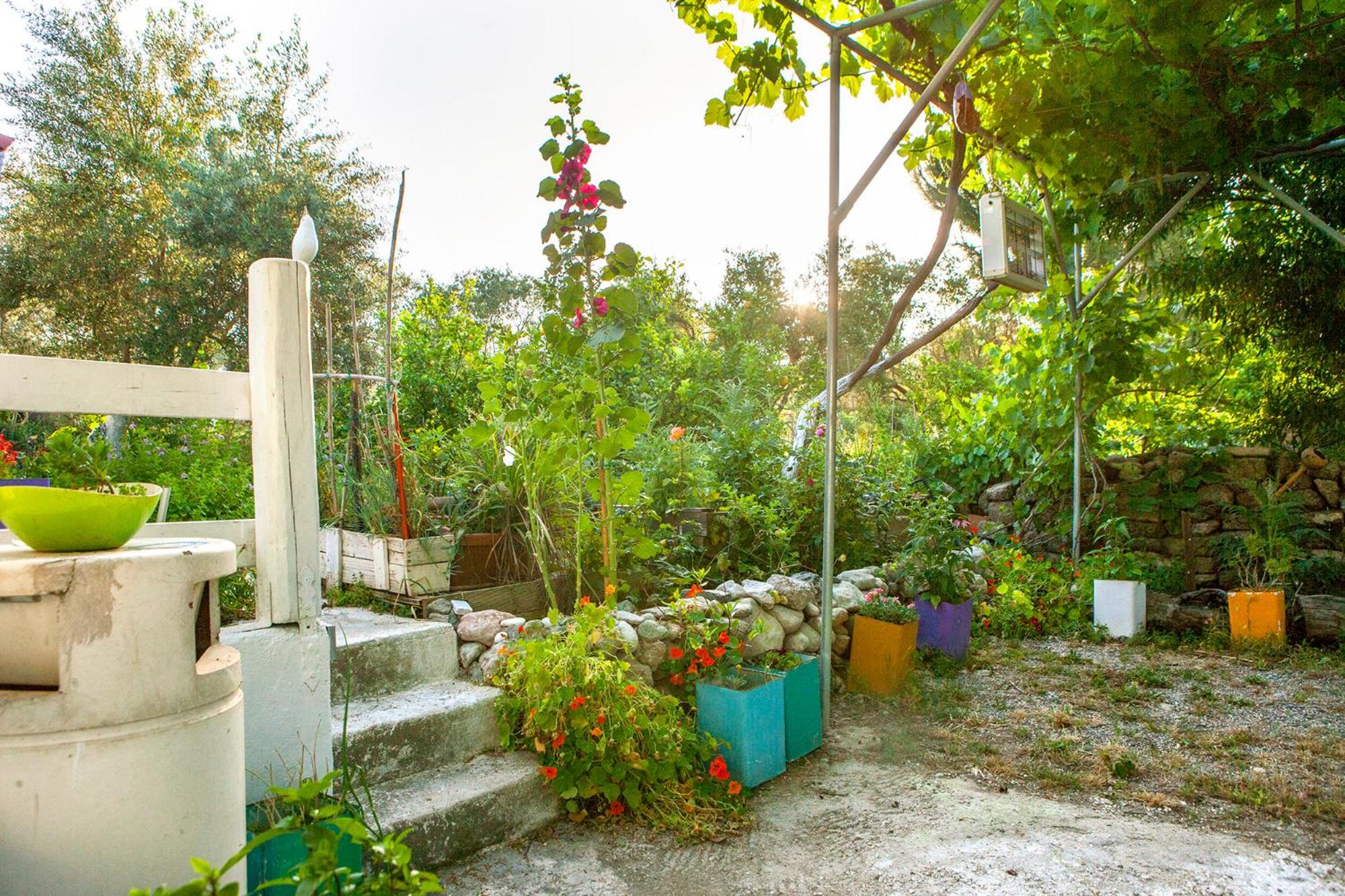 Photo 47