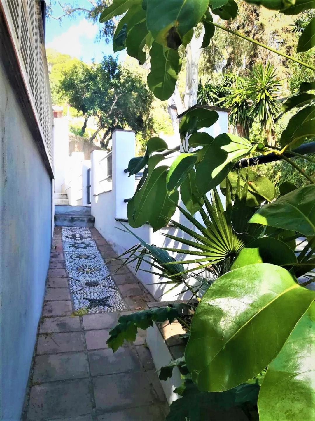 Quiet House in Malaga