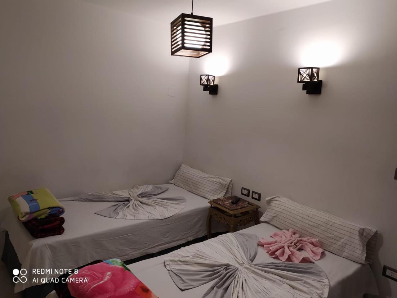 Venus Hostel
