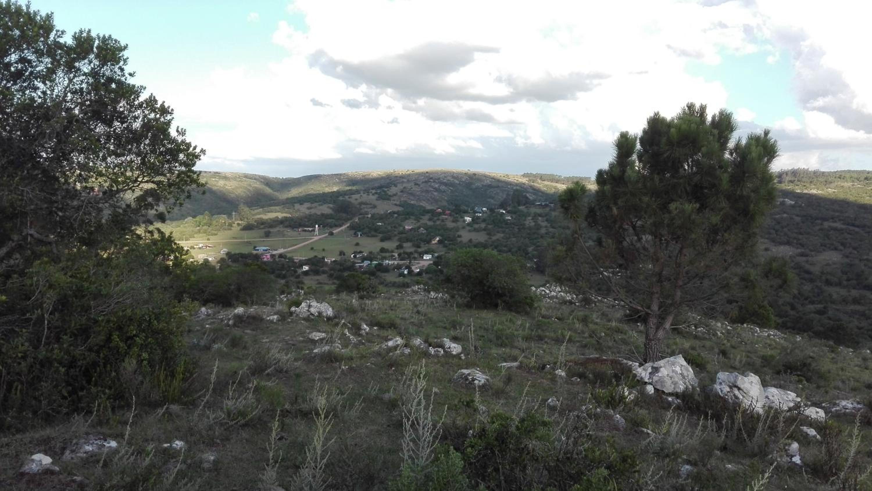 Photo 26