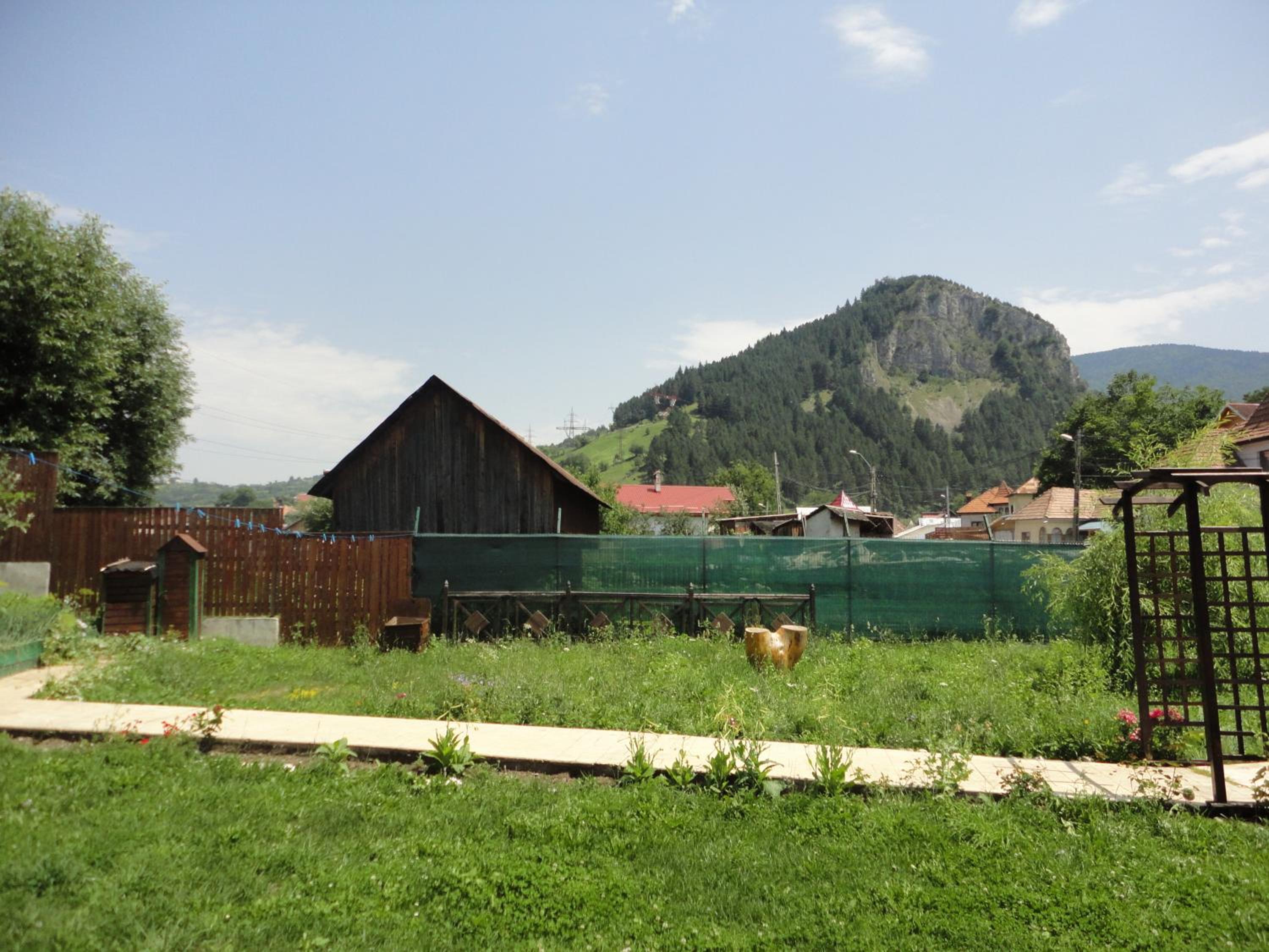 Photo 18