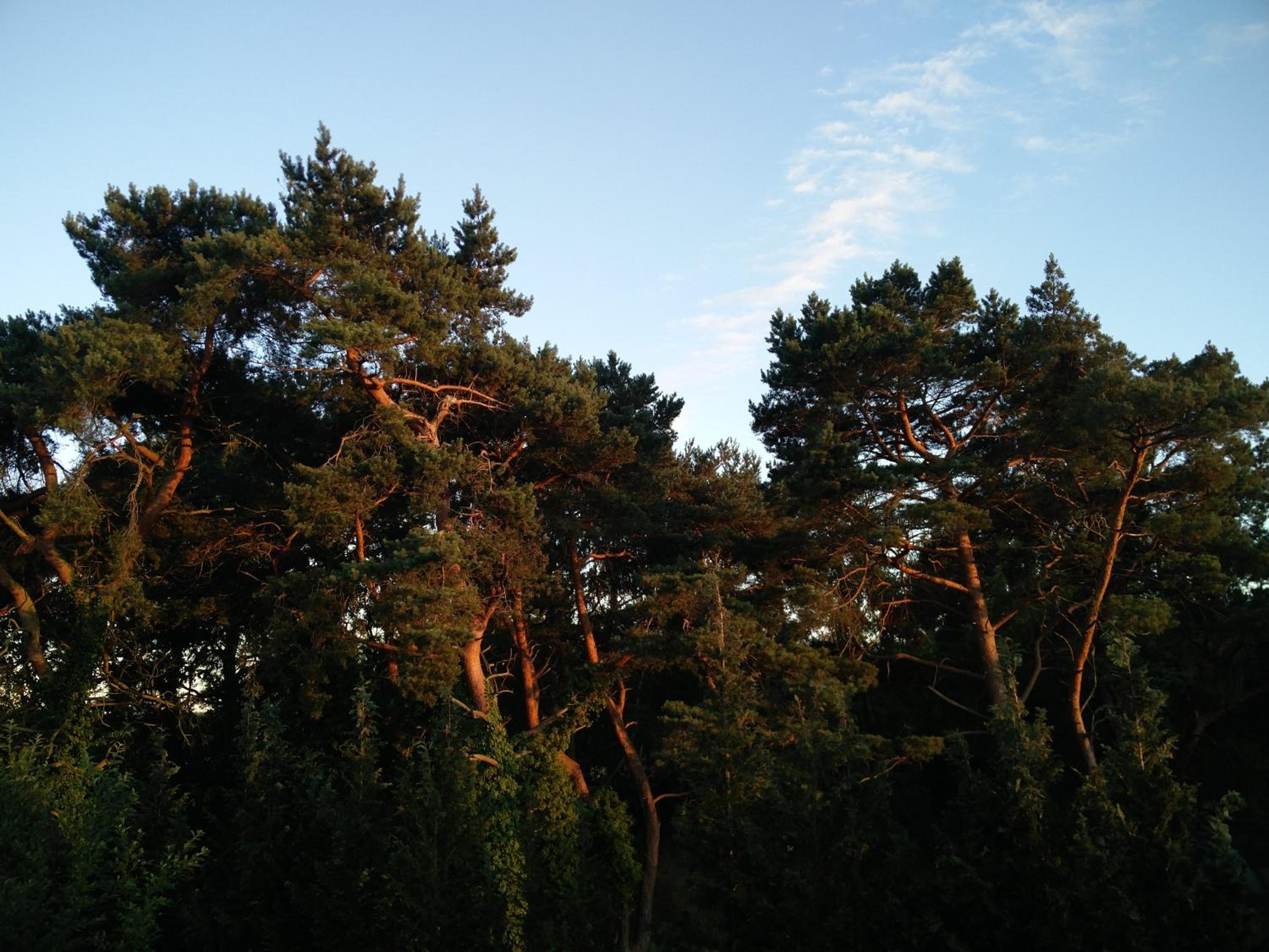 Photo 29