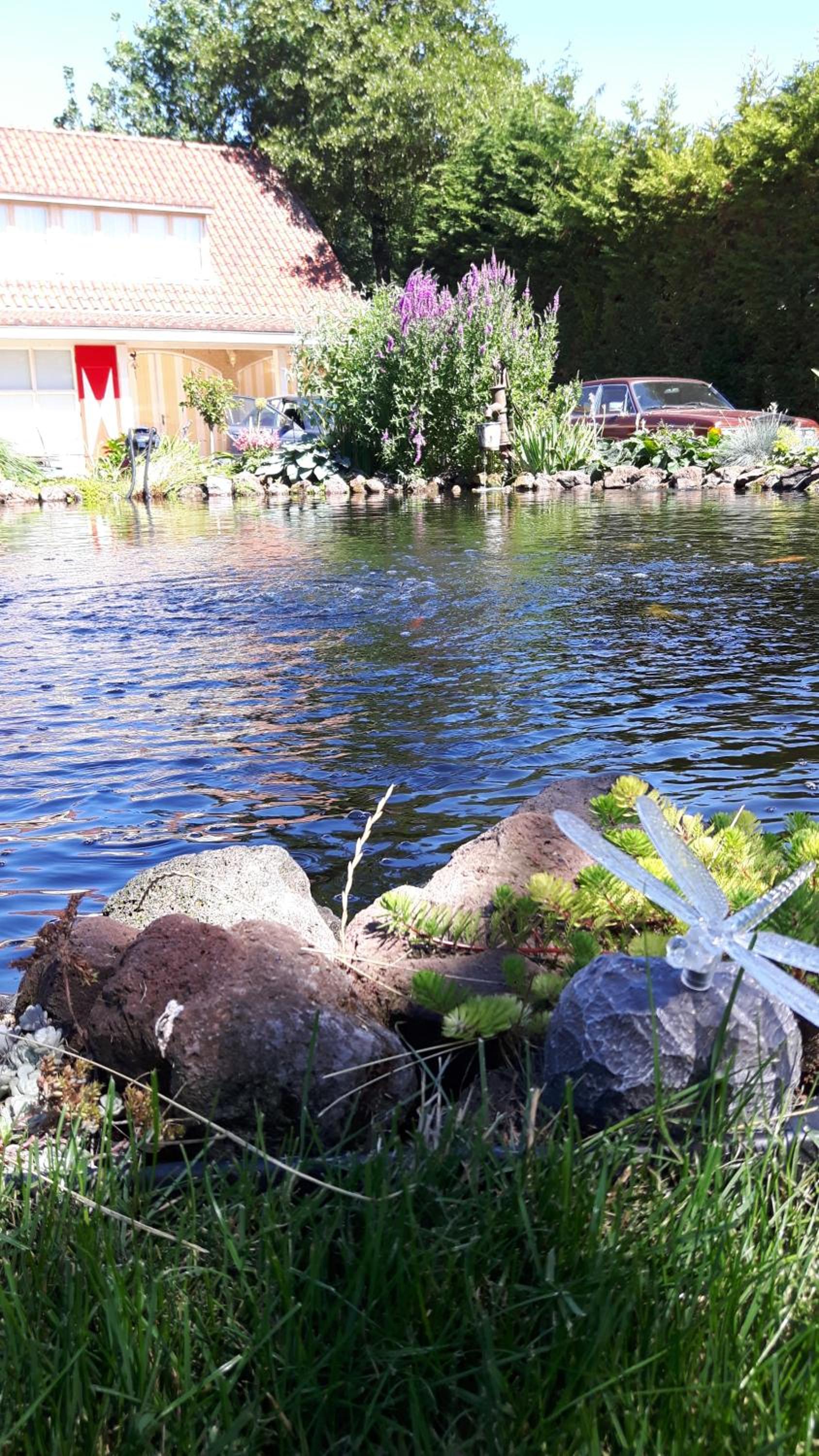Photo 17