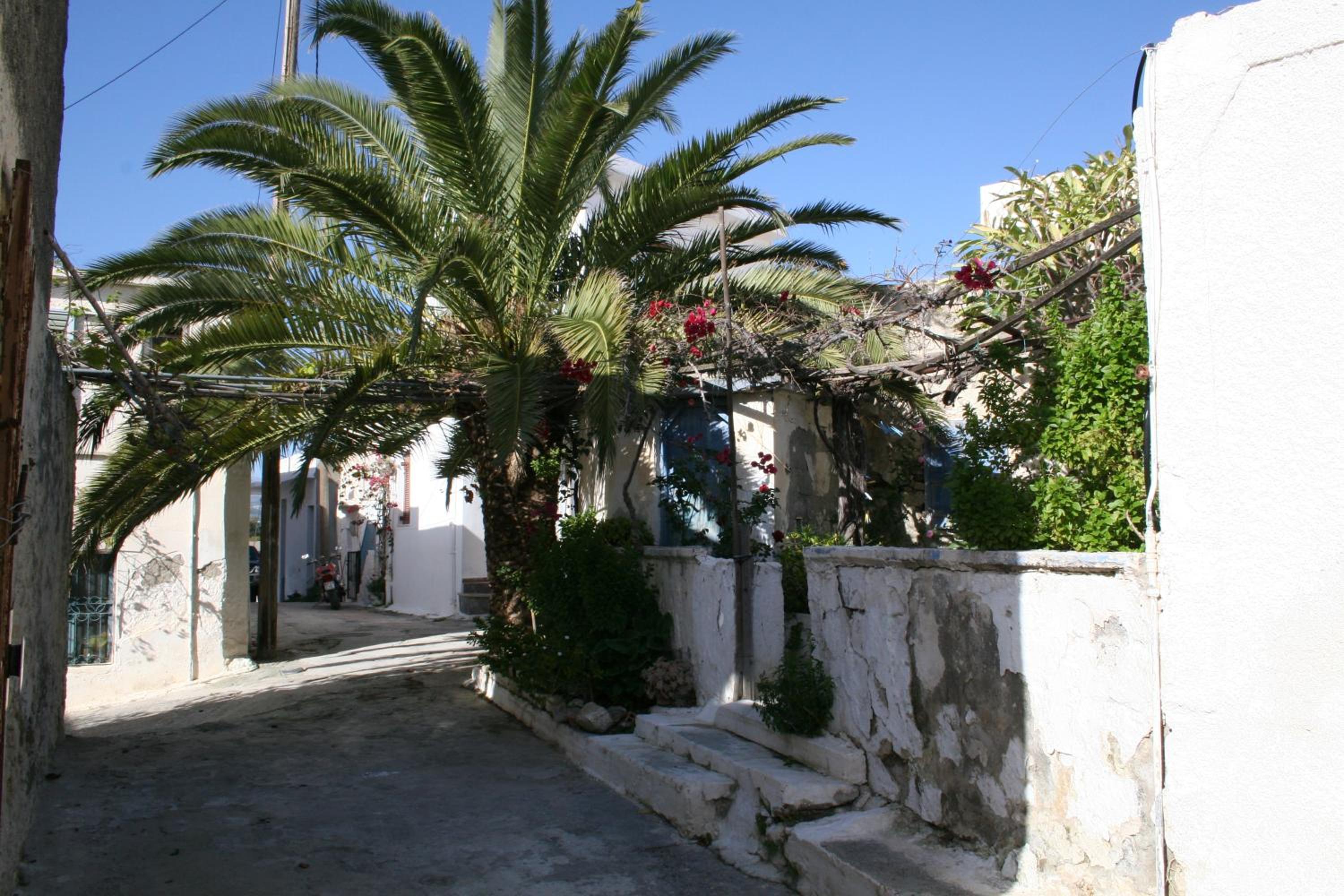 Photo 33
