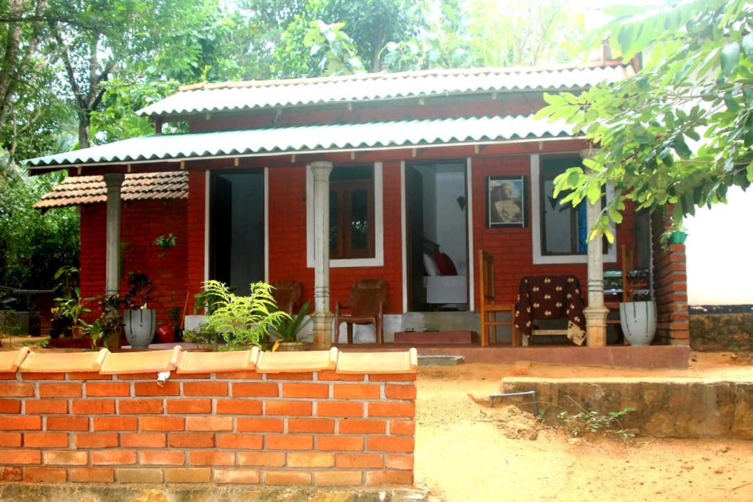 Angry birds homestay view 4
