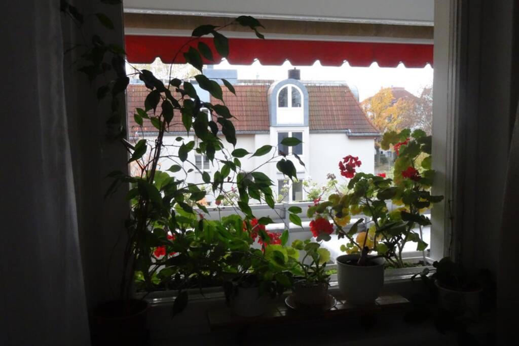 Schöne, ruhige Wohnung in Berlin-Steglitz