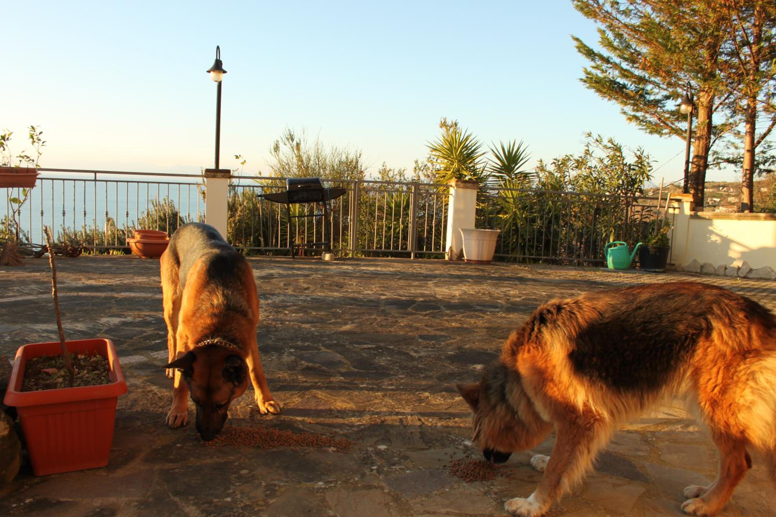 Villa Malandrino Guest House