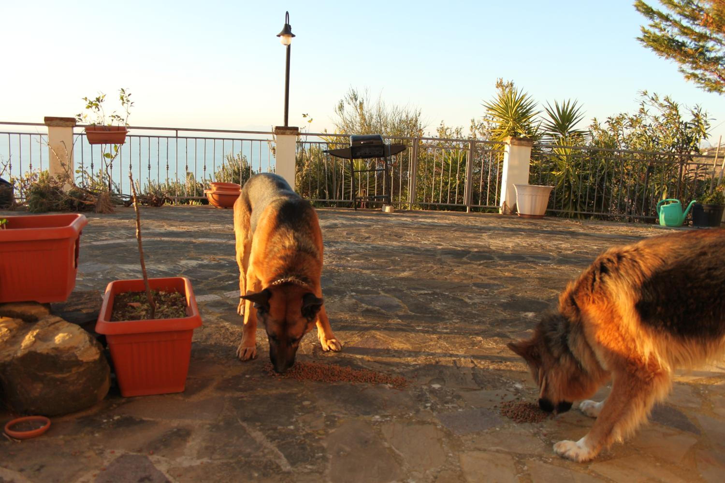 Villa Malandrino Guest House