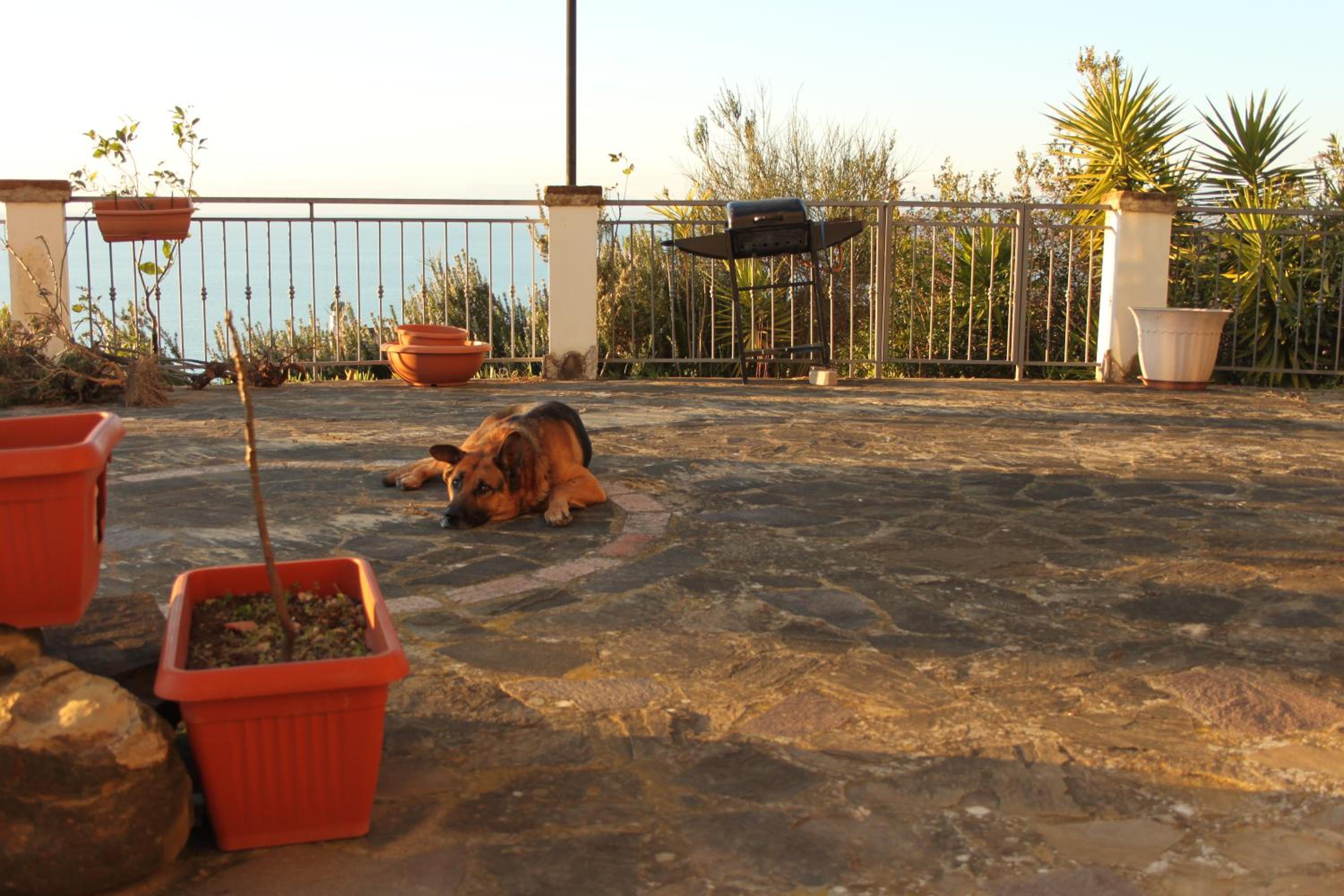 Villa Malandrino Guest House