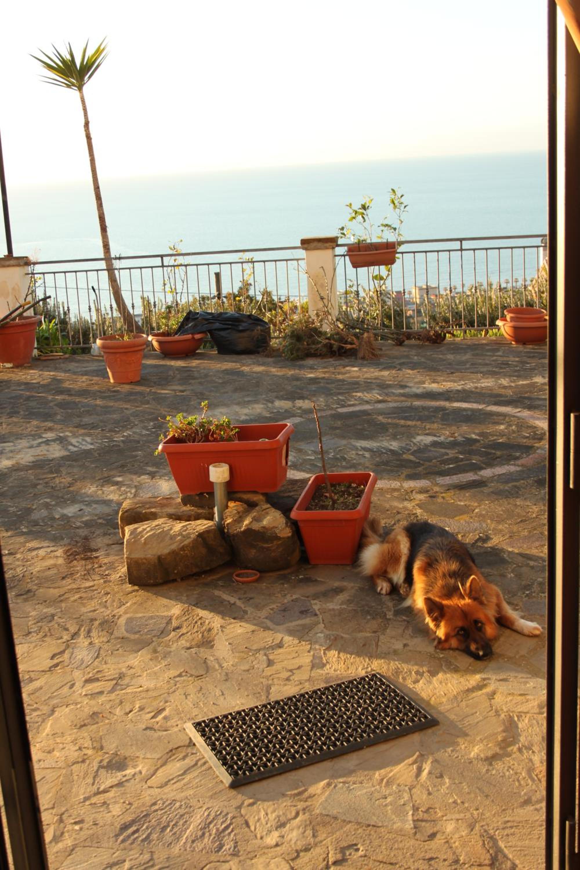 Villa Malandrino Guest House
