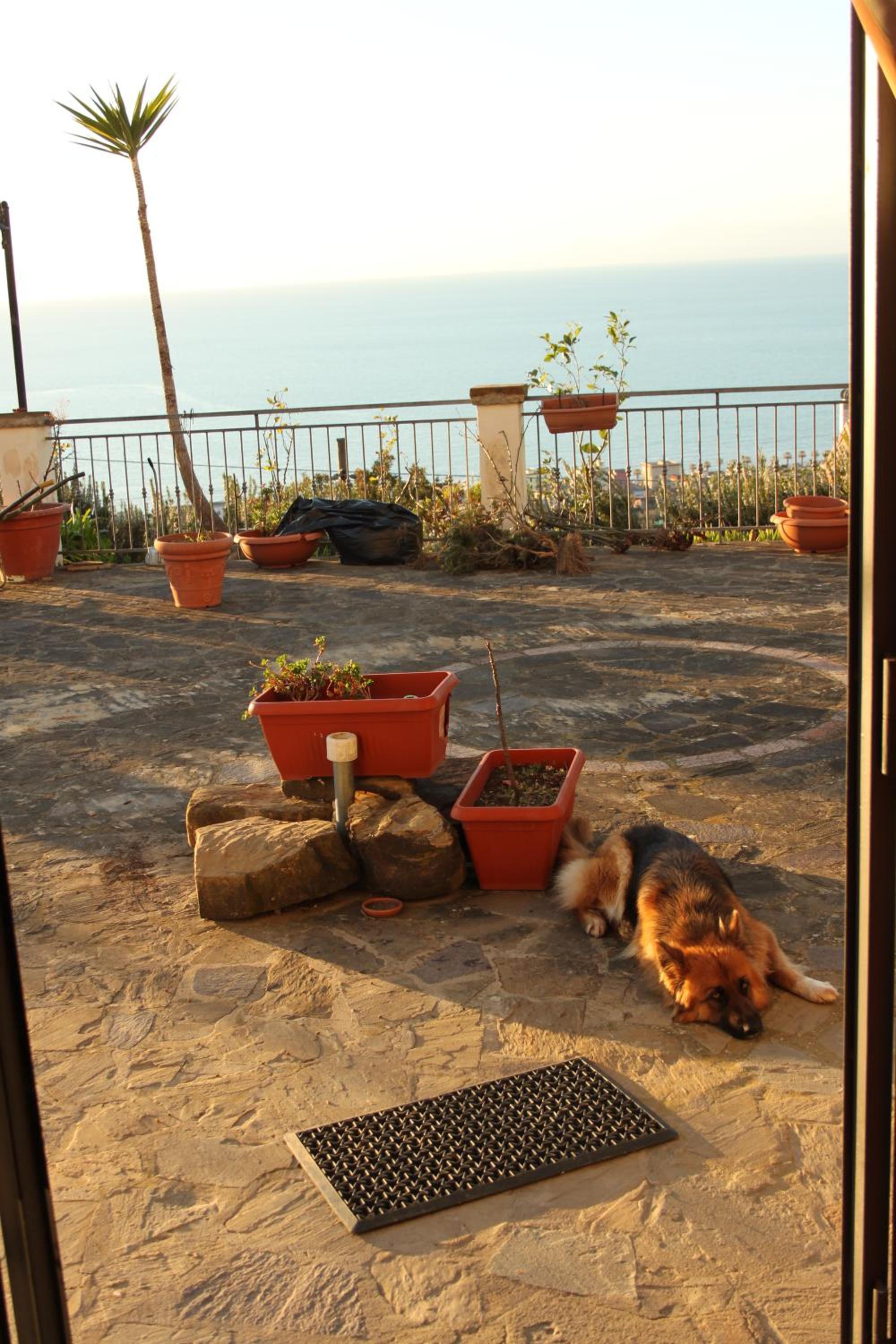 Villa Malandrino Guest House
