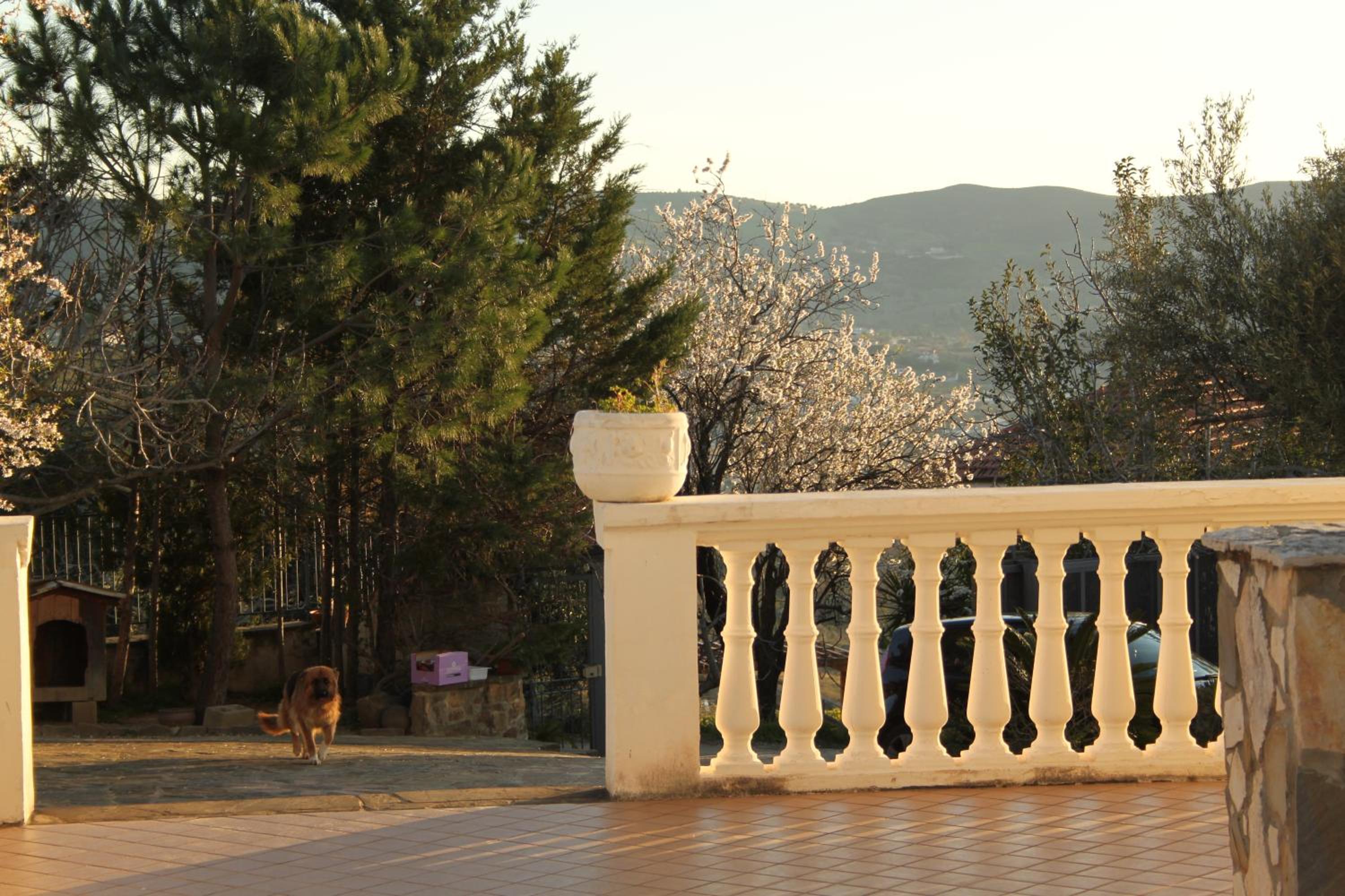 Villa Malandrino Guest House