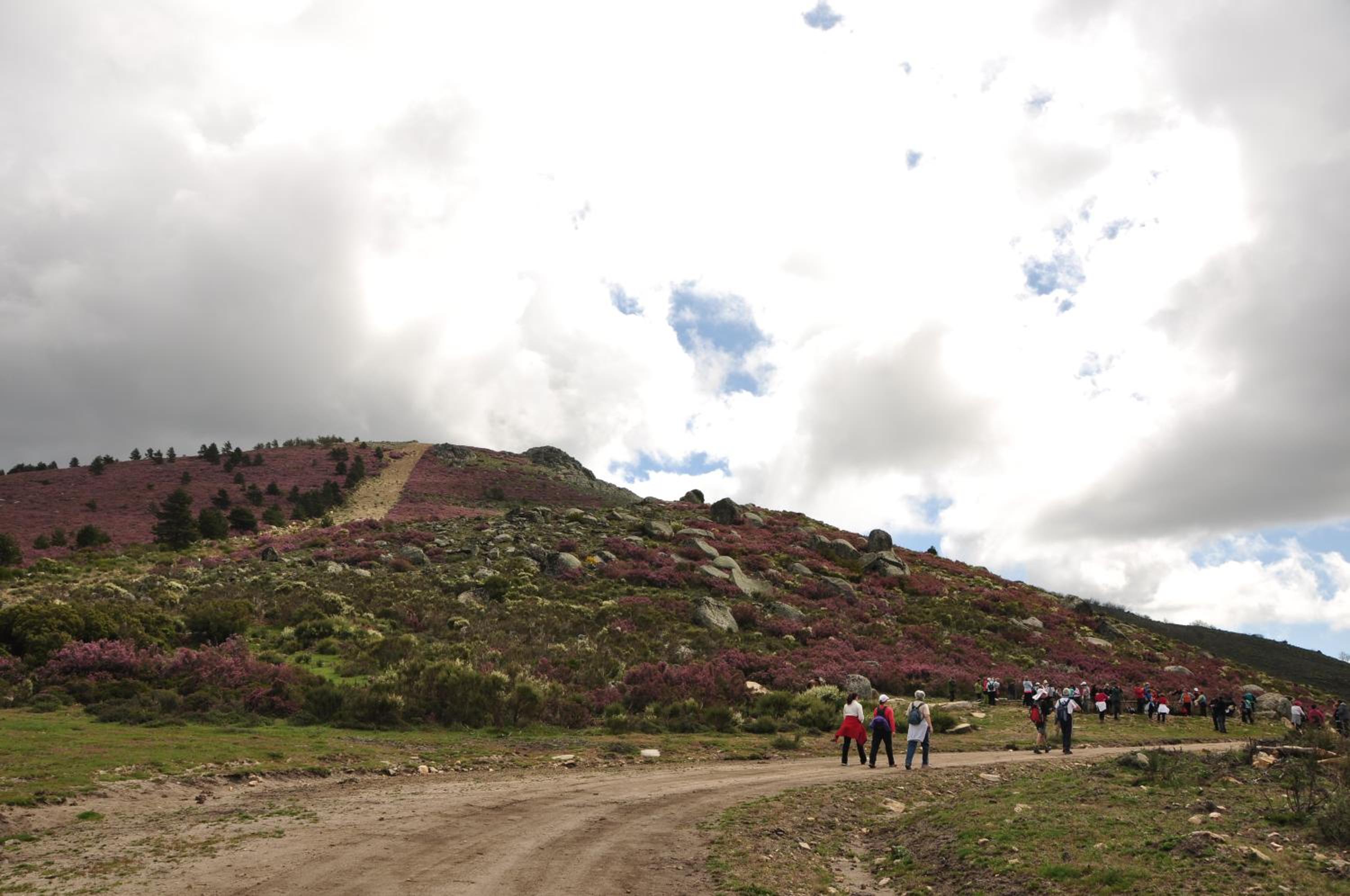 Photo 42