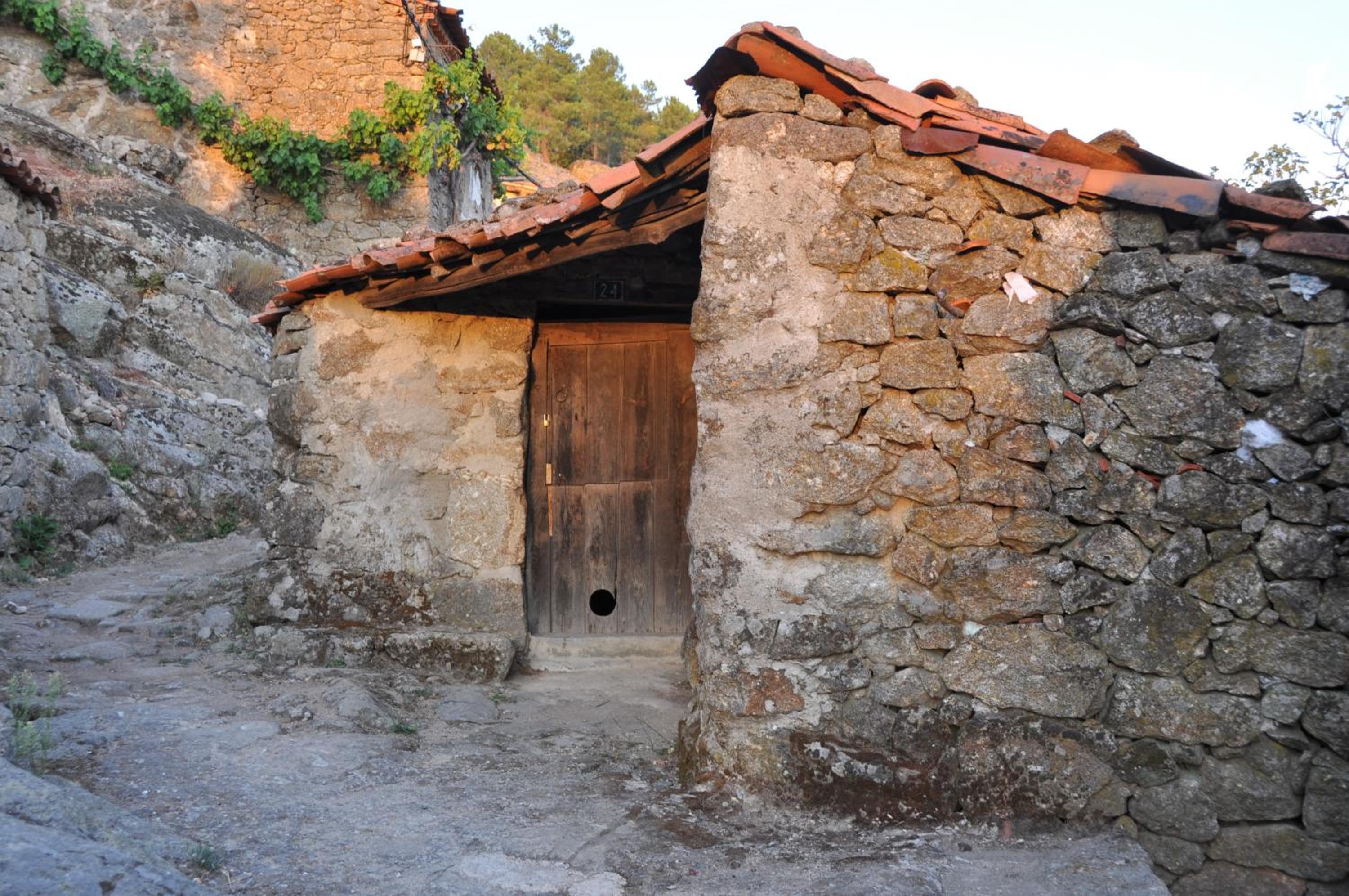 Photo 29