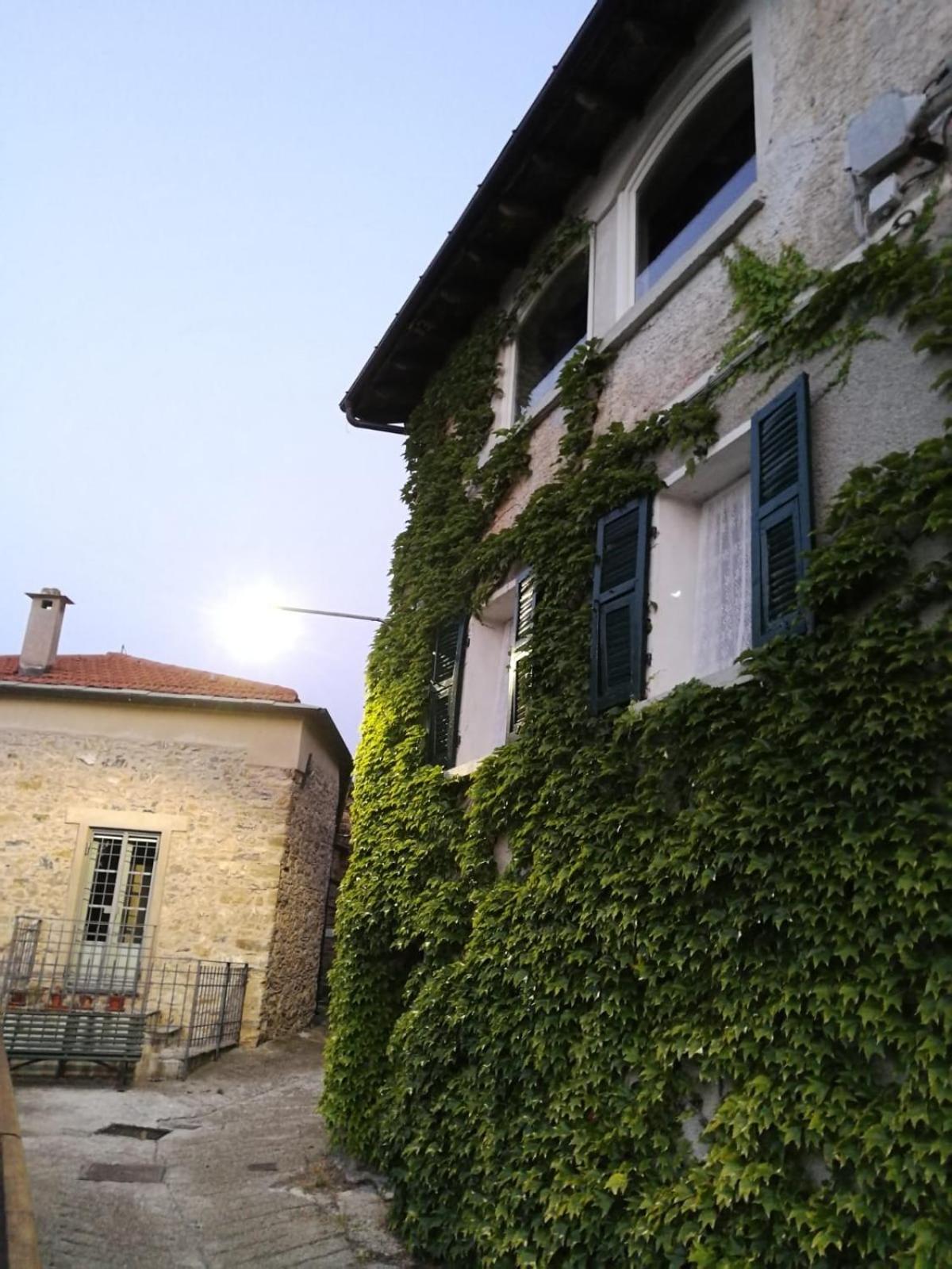 Photo 33
