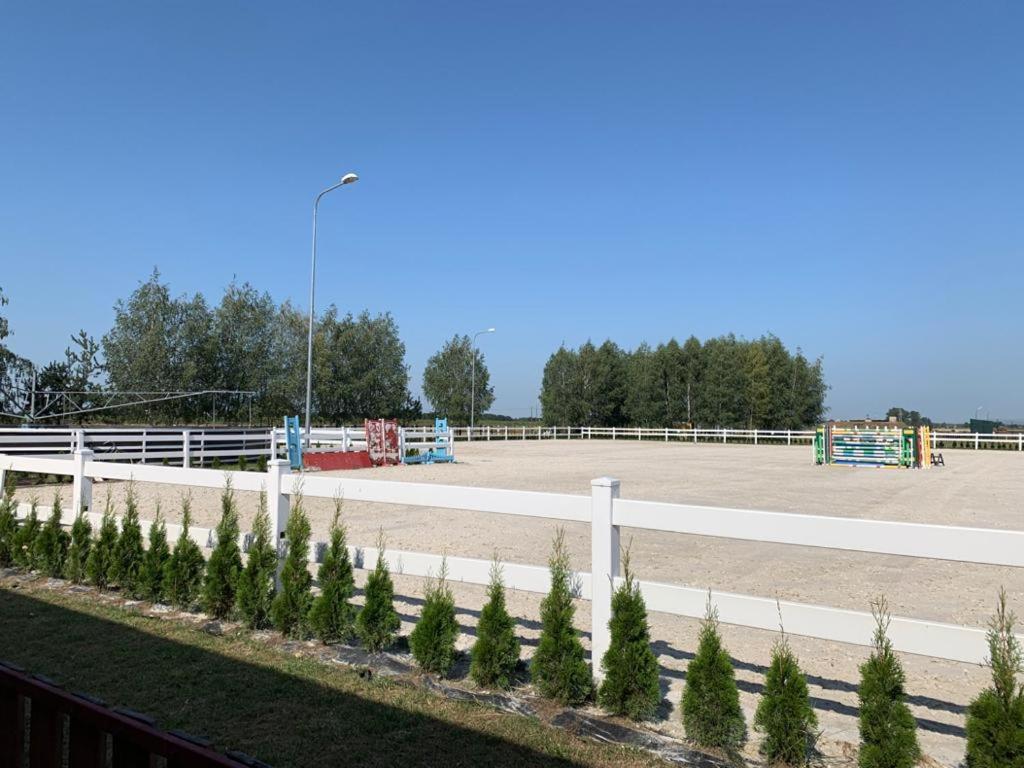Photo 47