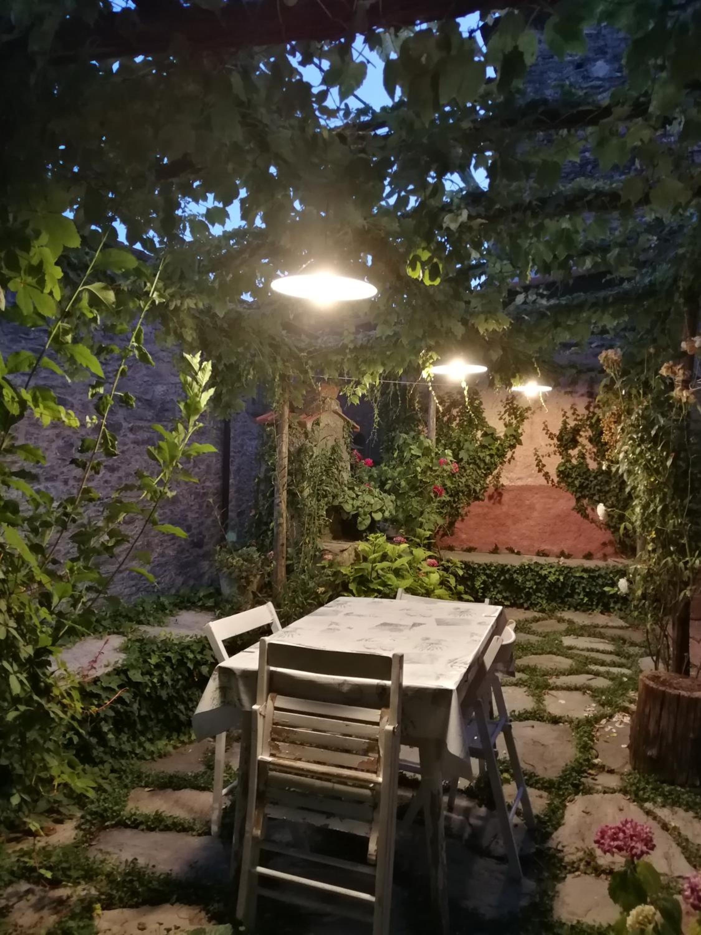 Photo 31
