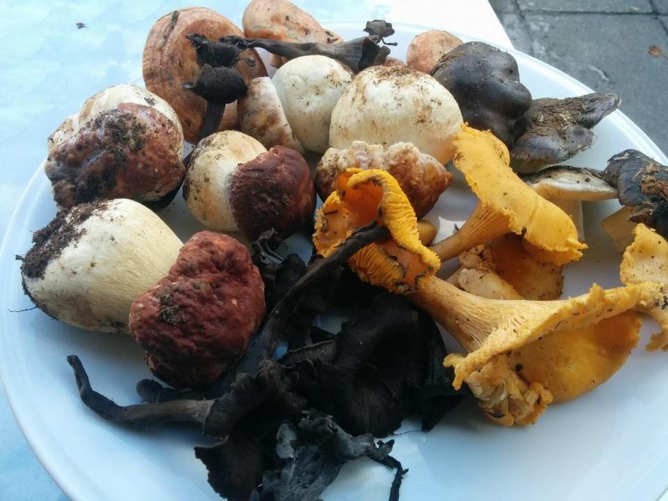 Casa Rural Las Jañonas CC-CR-00219 view 5