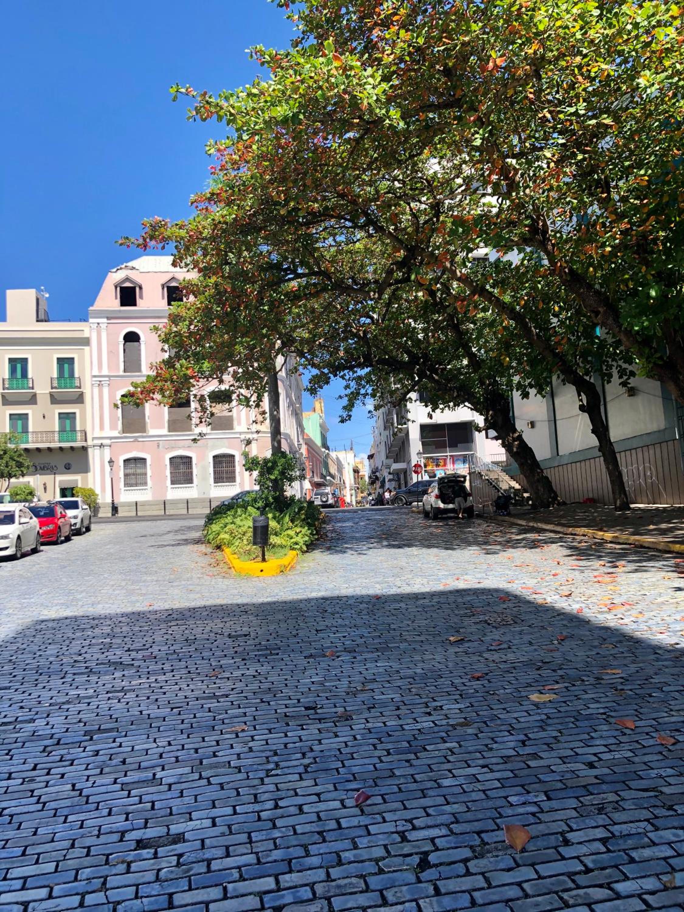 Navona Studios - Property Image 148