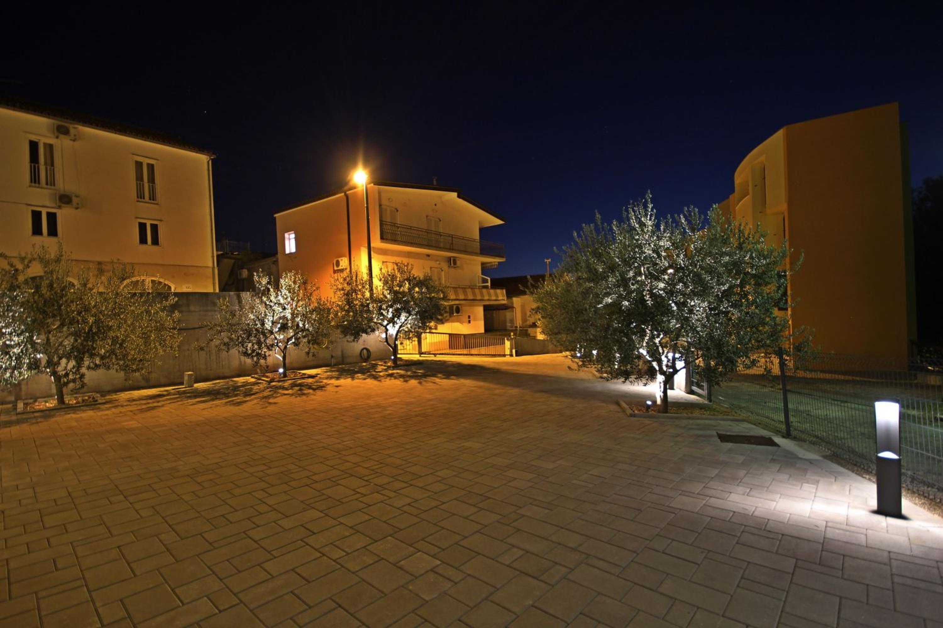 Photo 8