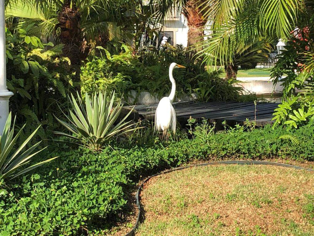 Apartamento Wembley Tenis - Toninhas - Ubatuba view 5