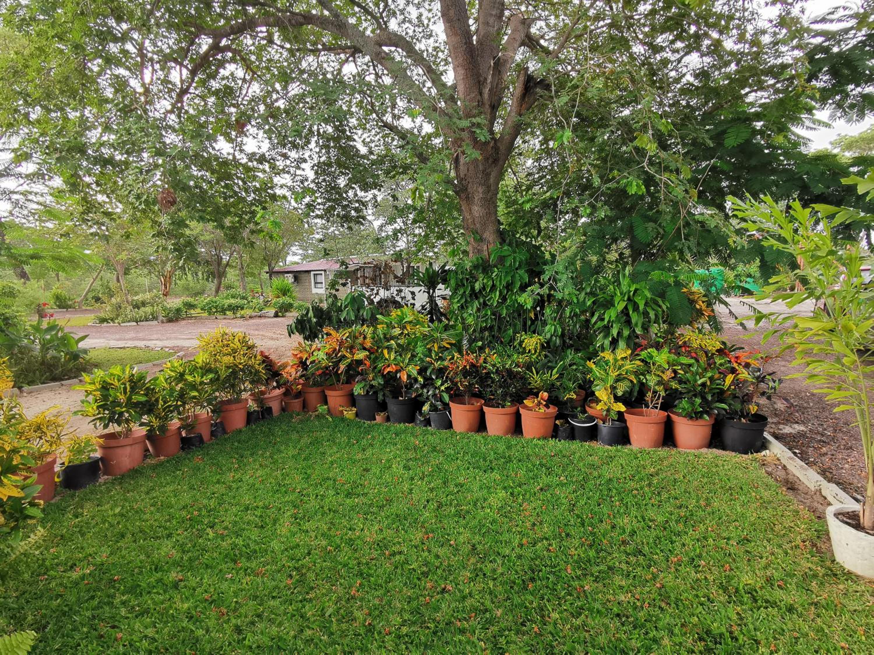 Happy Forest B&B view 5