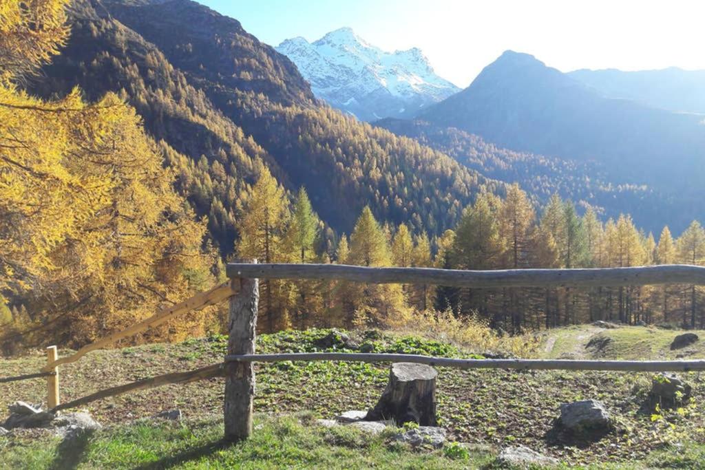 Chalet-Schümli Maisonette view 3