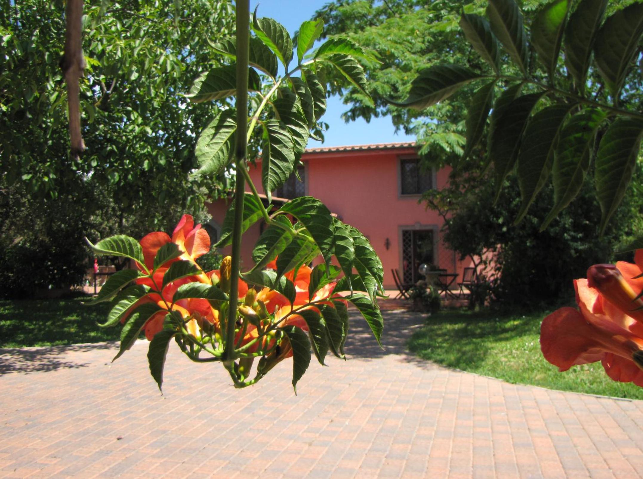 B&B Ai Glicini Castelli Romani view 5