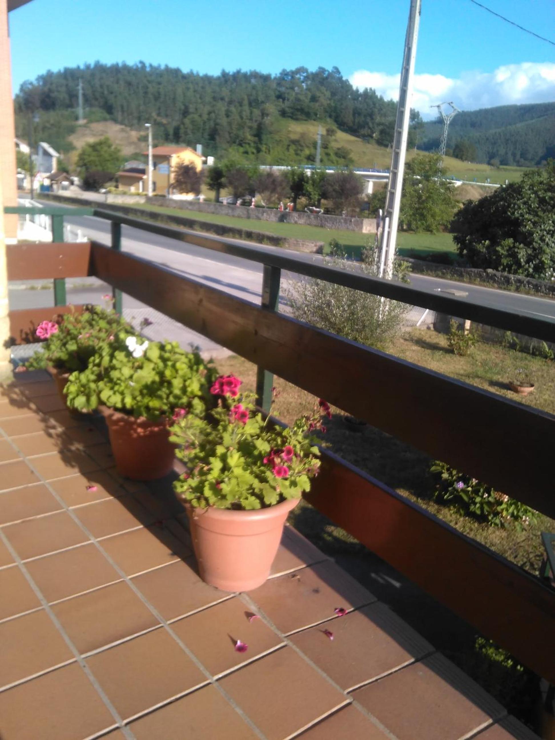 Las Higueras -casa con jardín- view 3