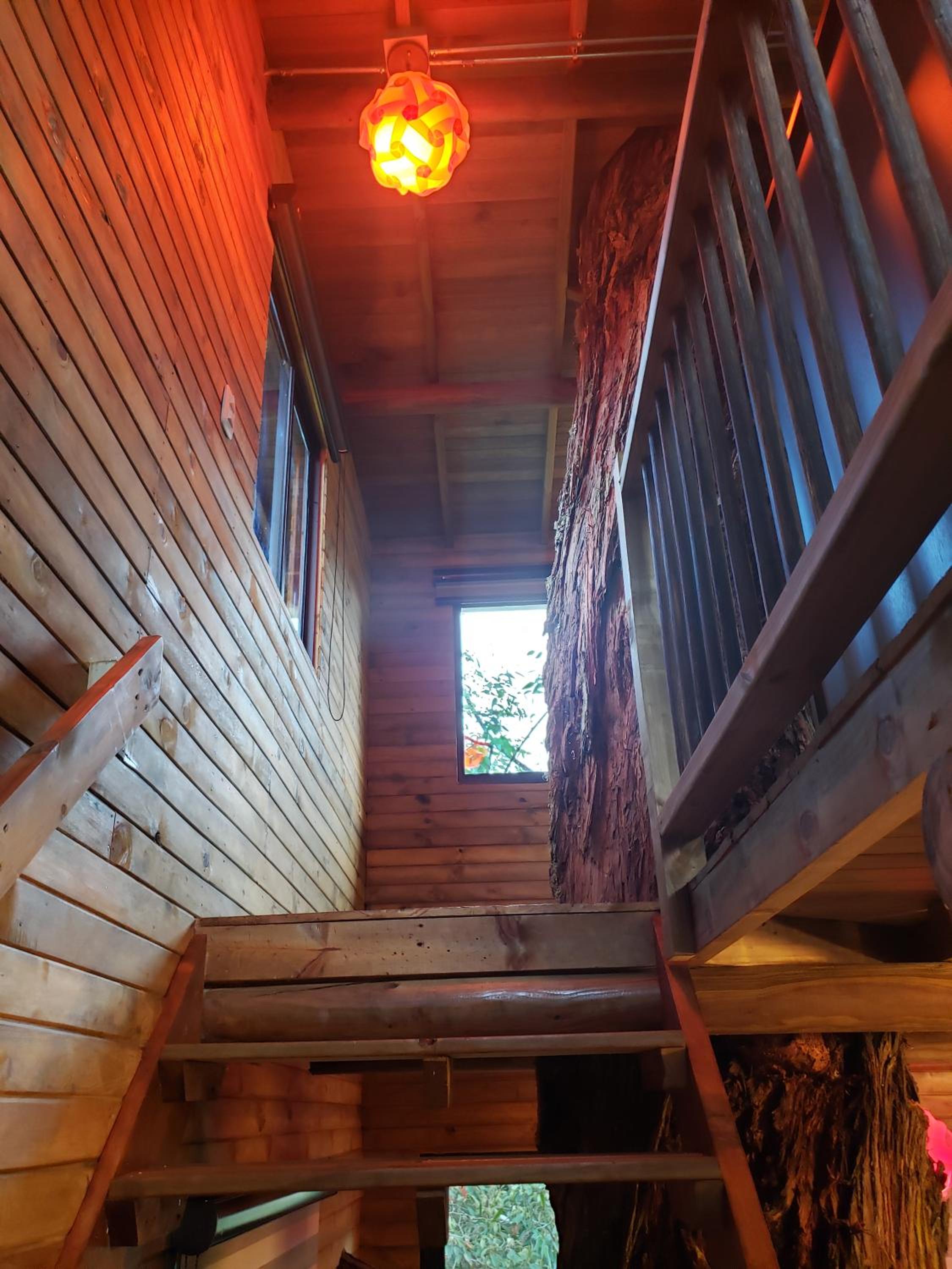 La Zenerchi, photo 15