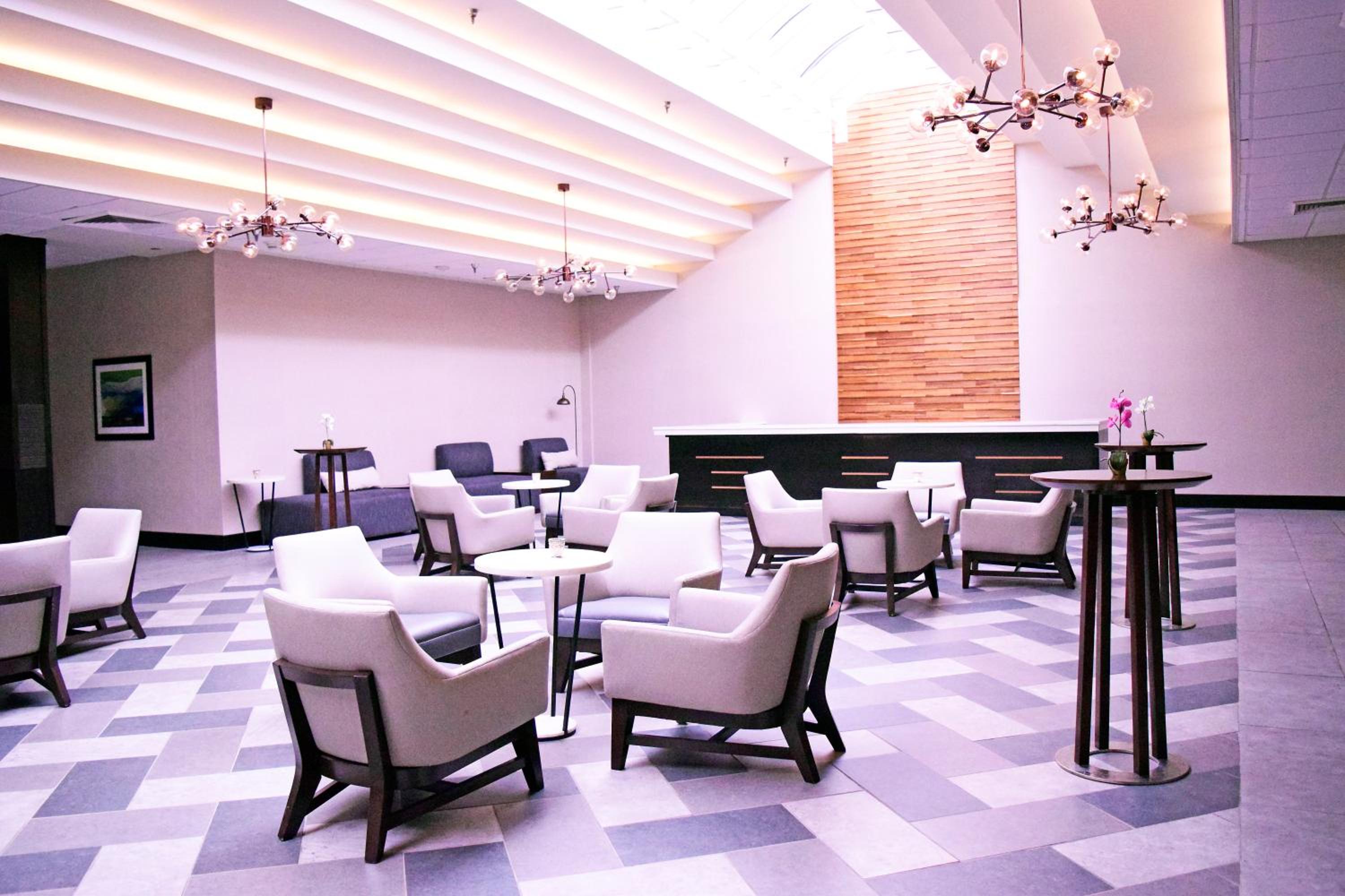 Holiday Inn Alexandria - Downtown, an IHG Hotel - Property Image 10