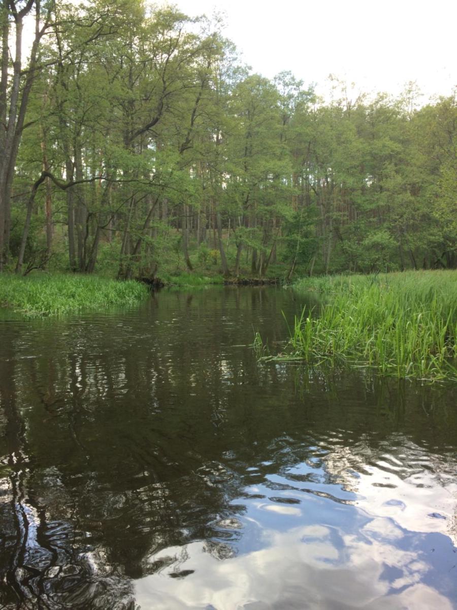 Photo 32
