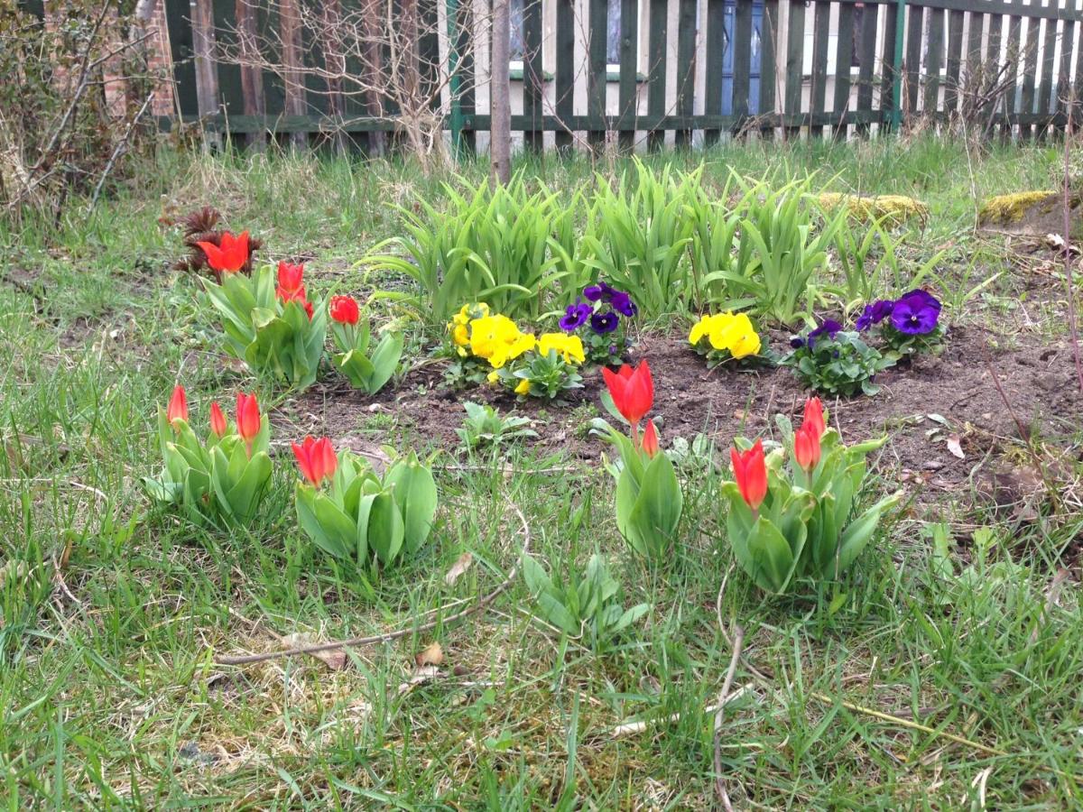 Photo 41
