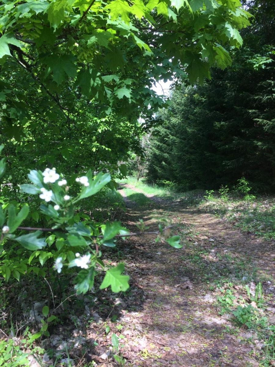 Photo 47