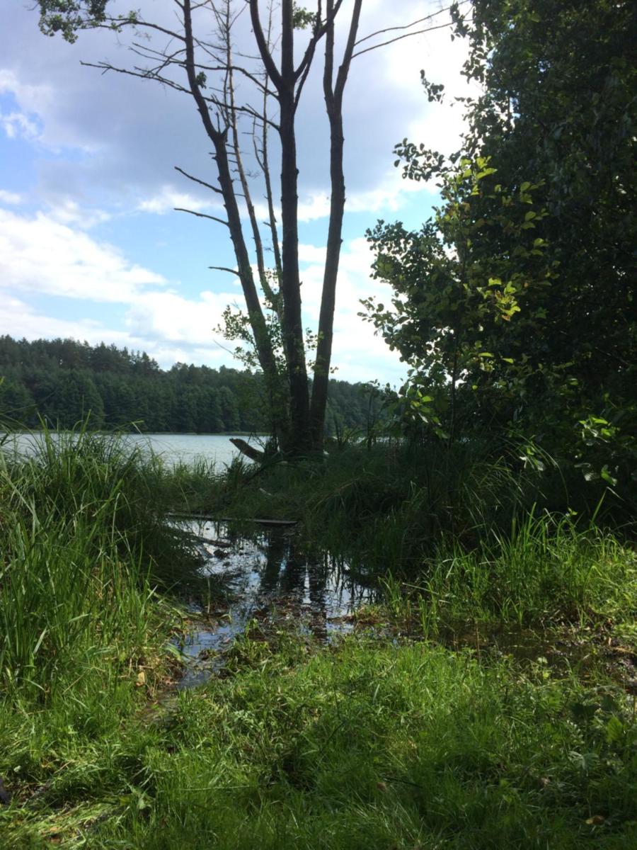 Photo 49