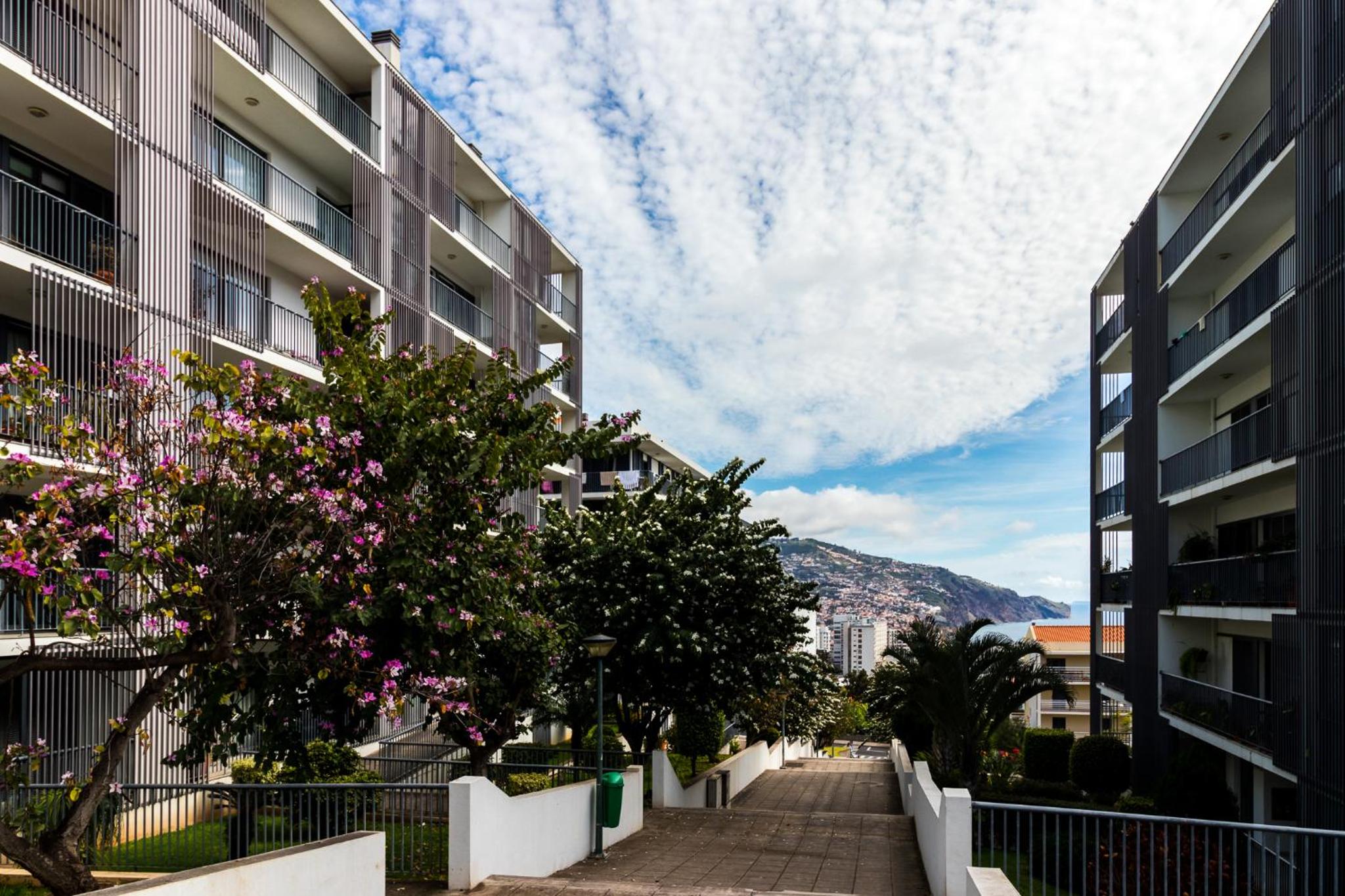 Acacia Apartment by Atlântica