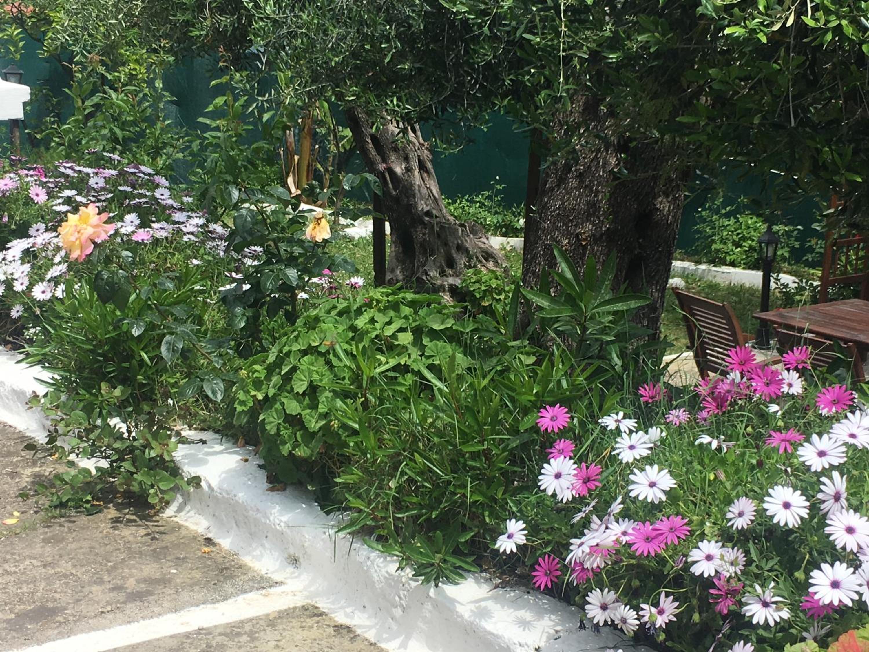 Photo 25