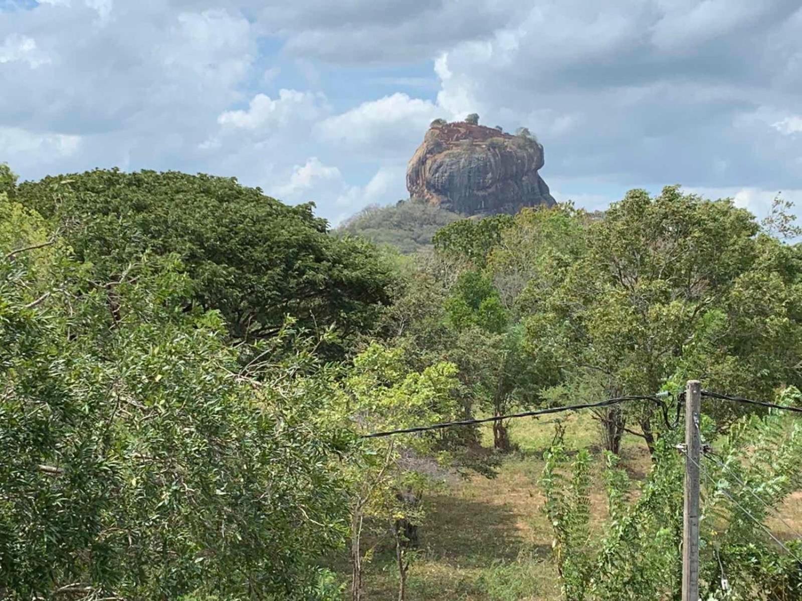 Sigiriya Rock Hide