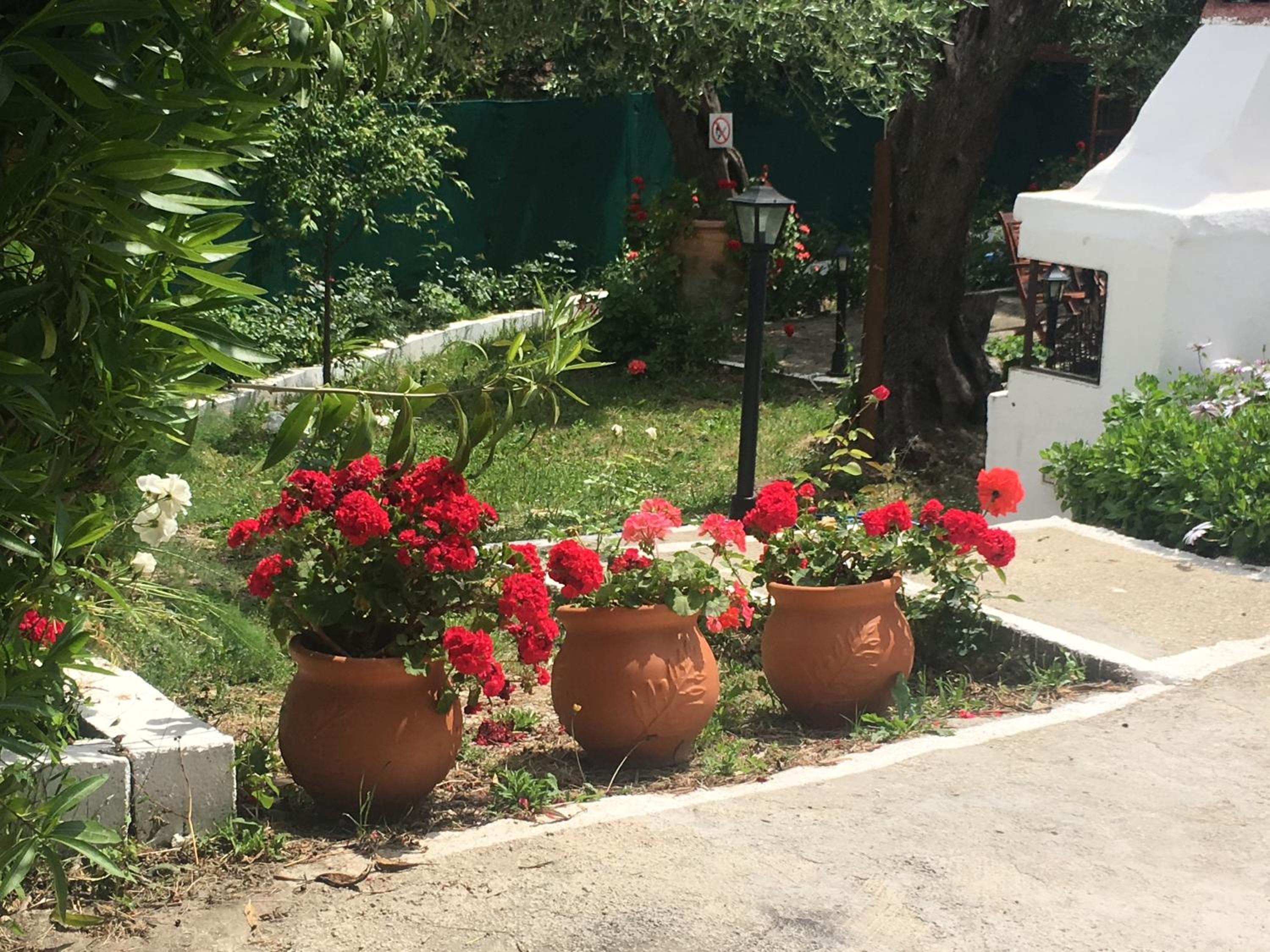 Photo 21