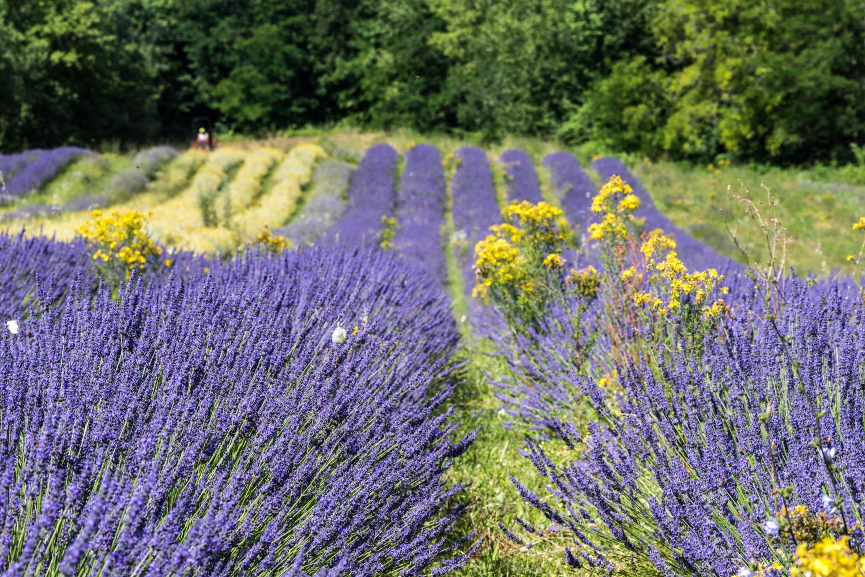 Agriturismo Amargi