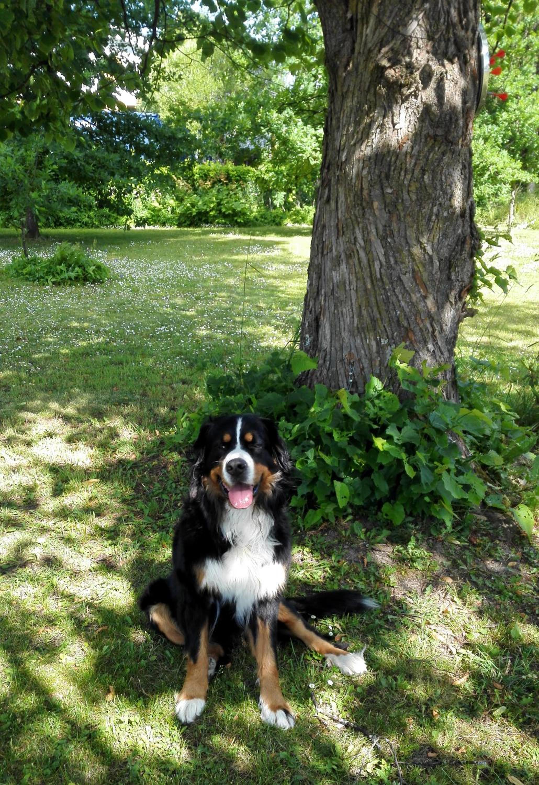 Photo 26
