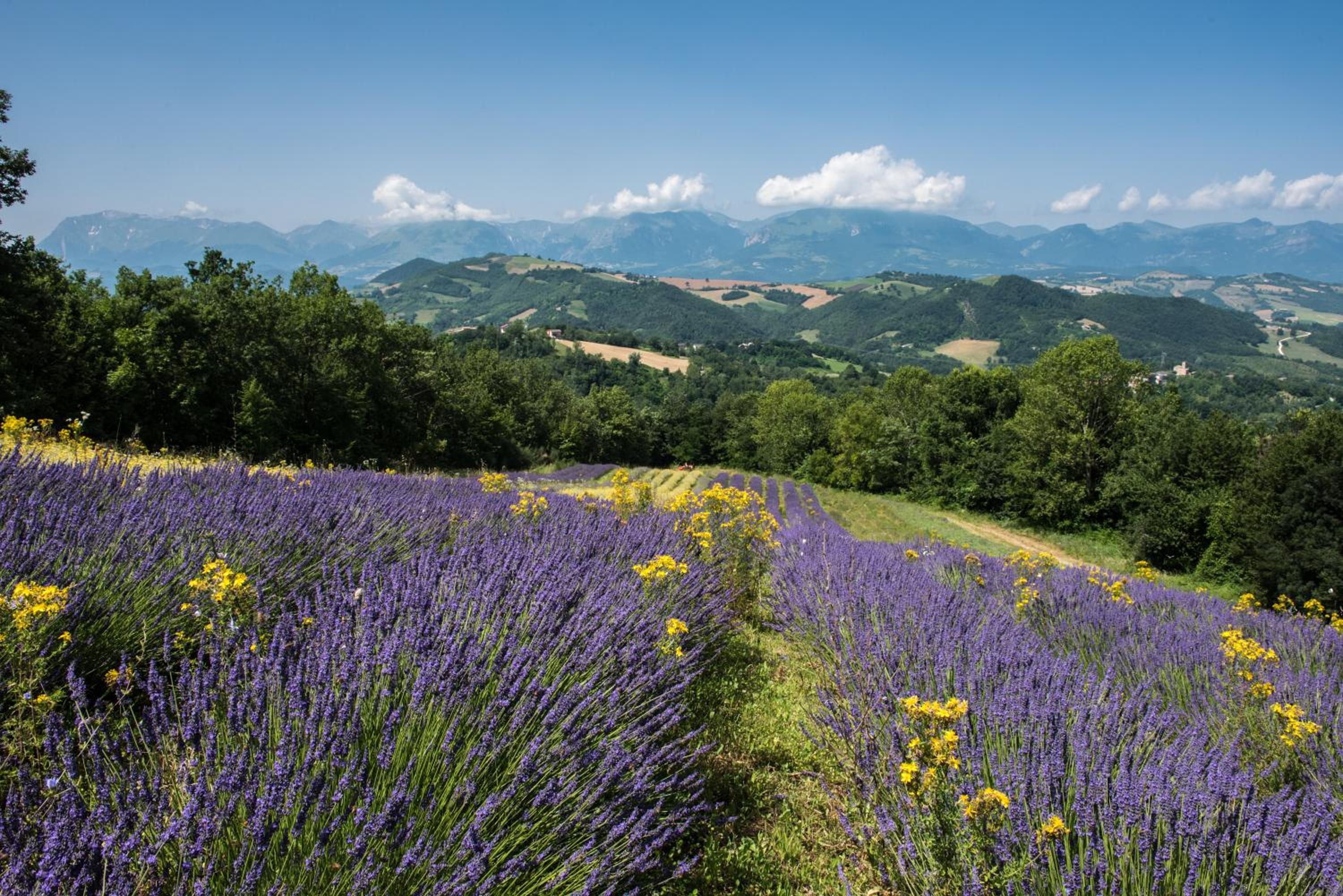 Agriturismo Amargi