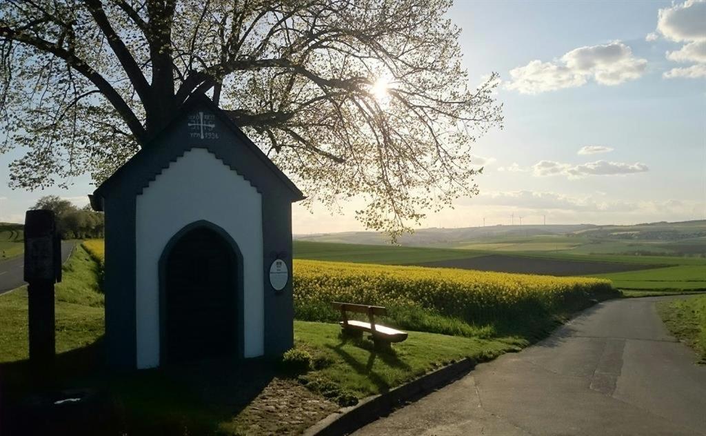 Ferienwohnung Maifeld view 4