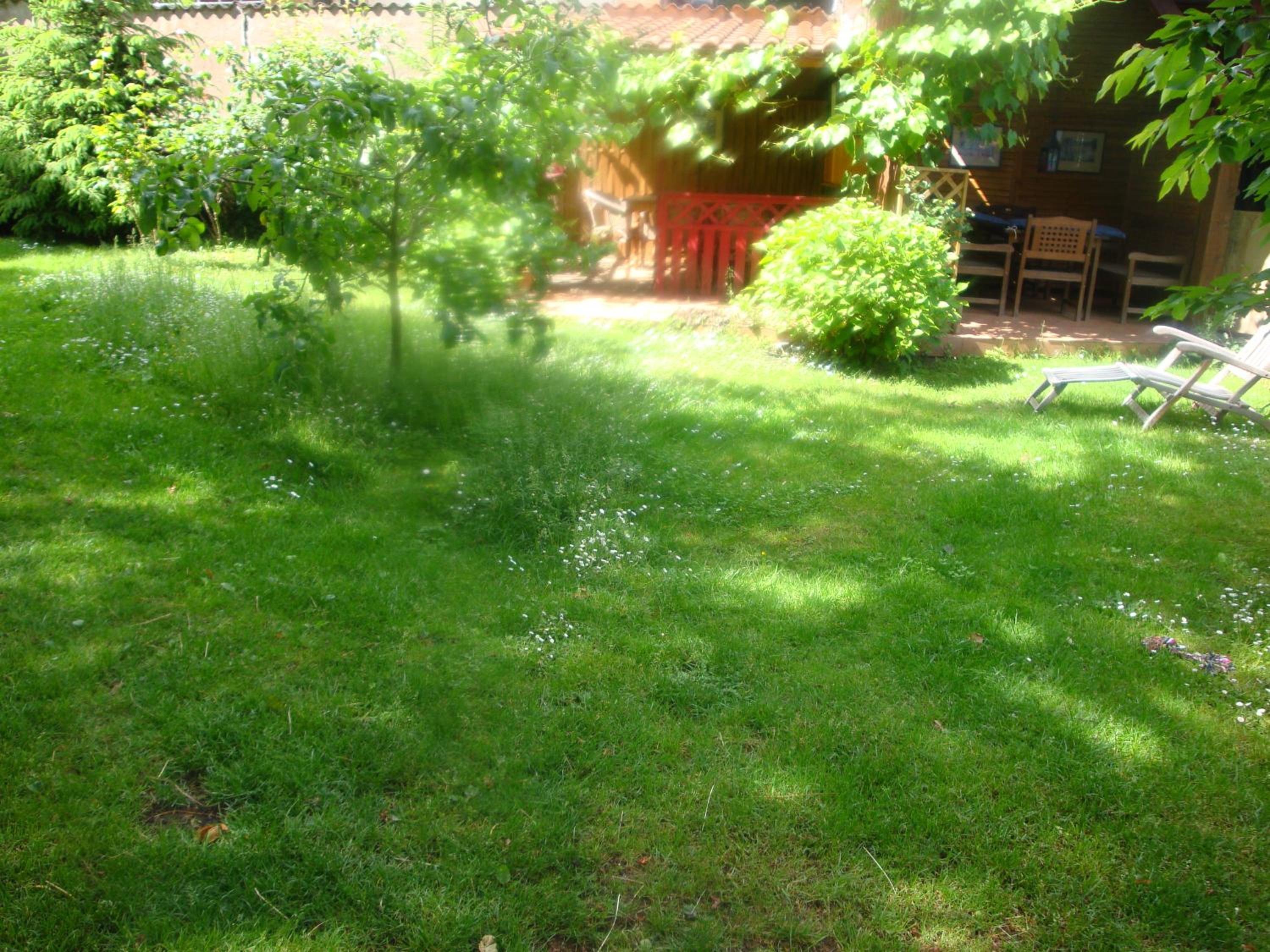 Photo 30