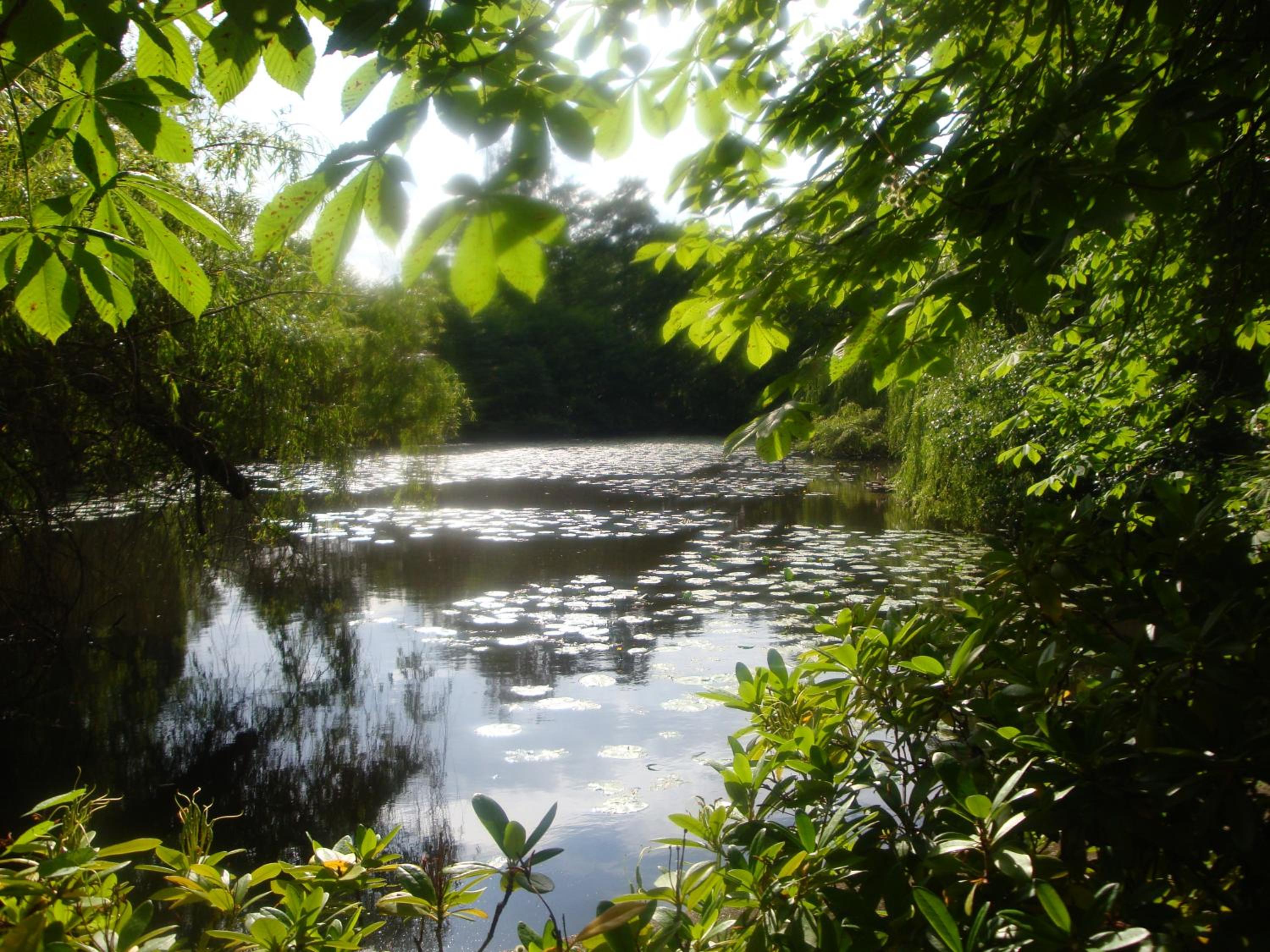 Photo 25