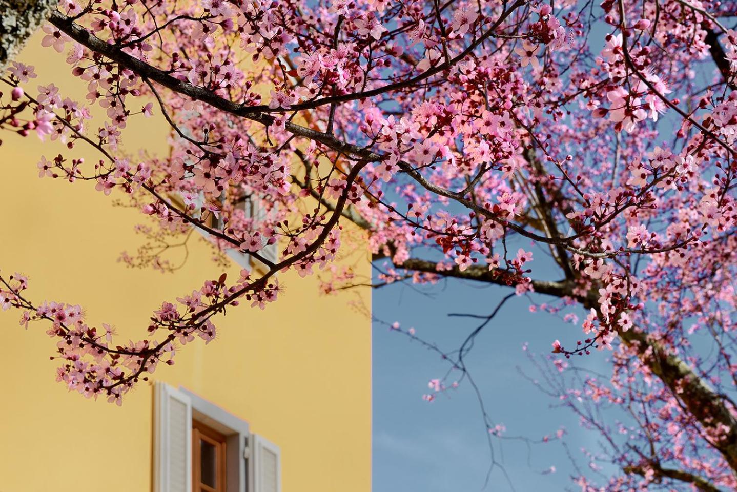 Amedea Tuscany Country Experience