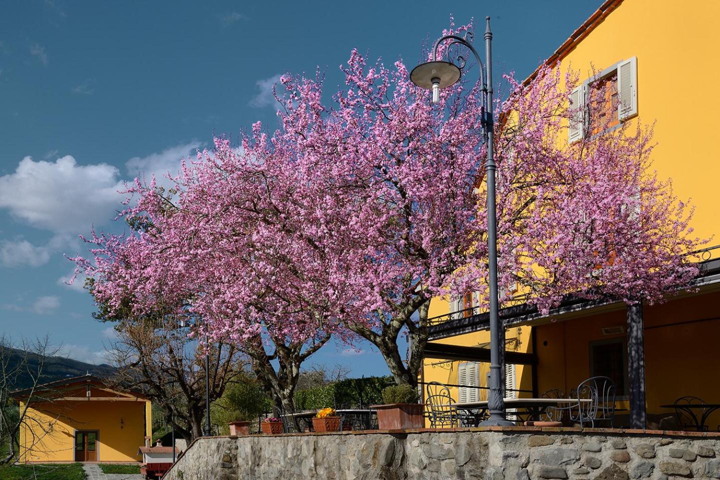 Amedea Tuscany Country Experience